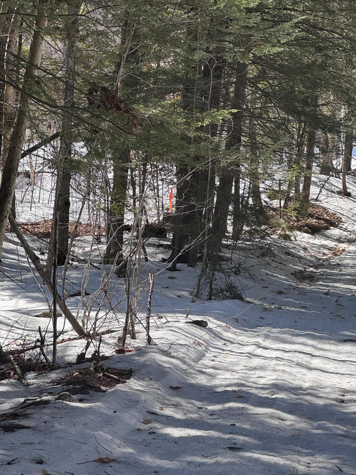 Lot #10 Goose Pond Road Property Photo 2