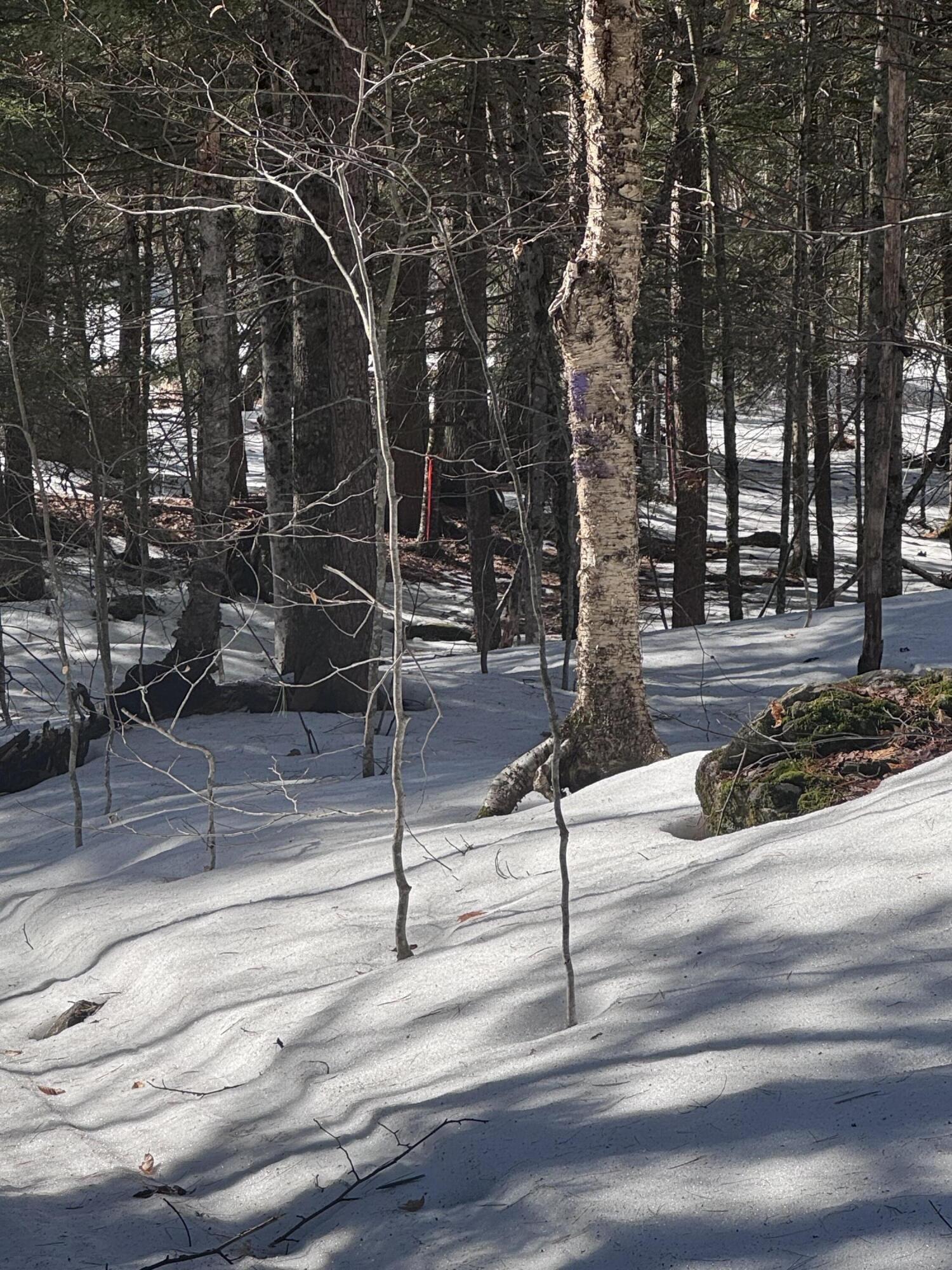 Lot #10 Goose Pond Road Property Photo 3
