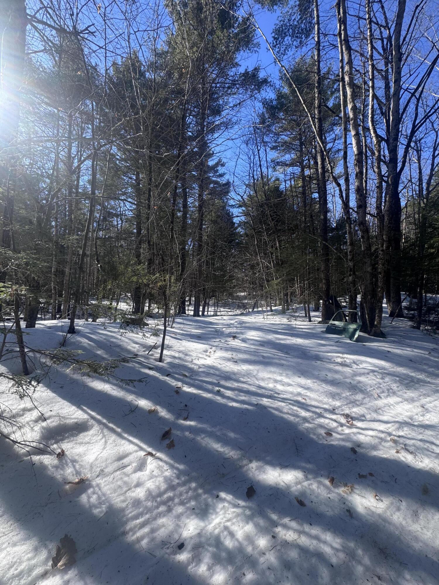Lot #10 Goose Pond Road Property Photo 5
