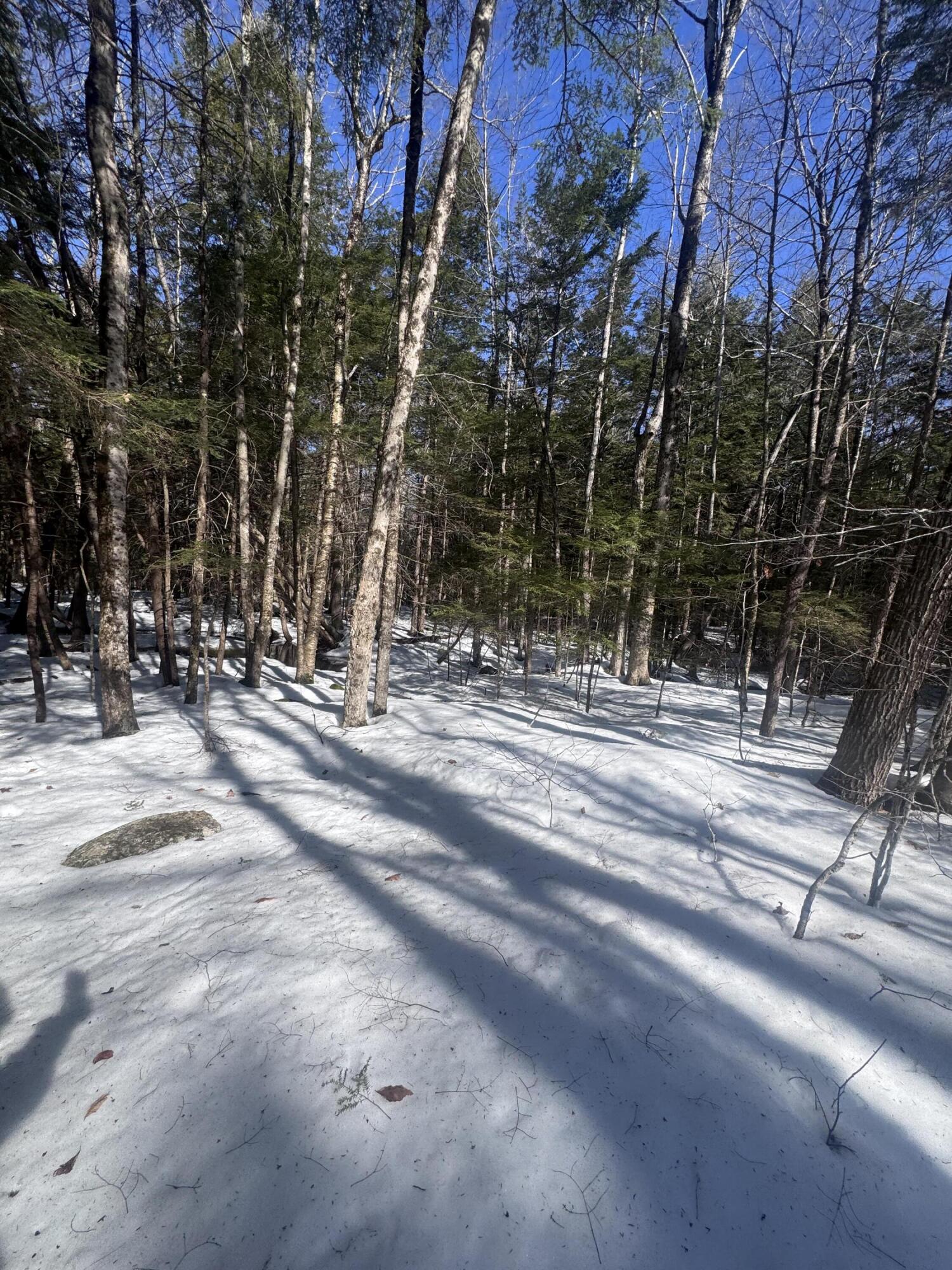 Lot #10 Goose Pond Road Property Photo 8