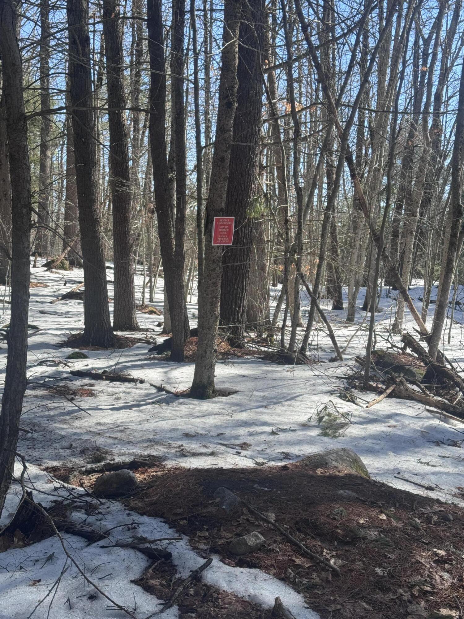 Lot #10 Goose Pond Road Property Photo 10