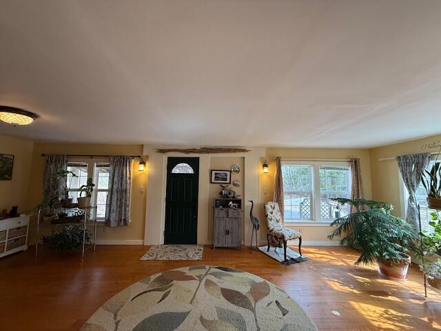 203 Garnet Head Road Property Photo 28