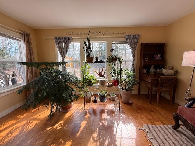 203 Garnet Head Road Property Photo 32