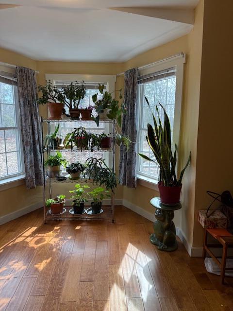 203 Garnet Head Road Property Photo 42