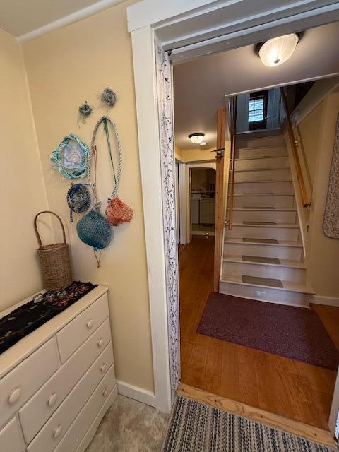 203 Garnet Head Road Property Photo 45