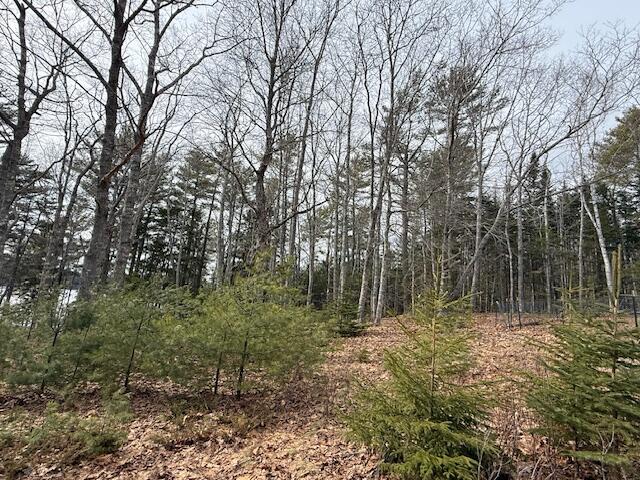 203 Garnet Head Road Property Photo 85