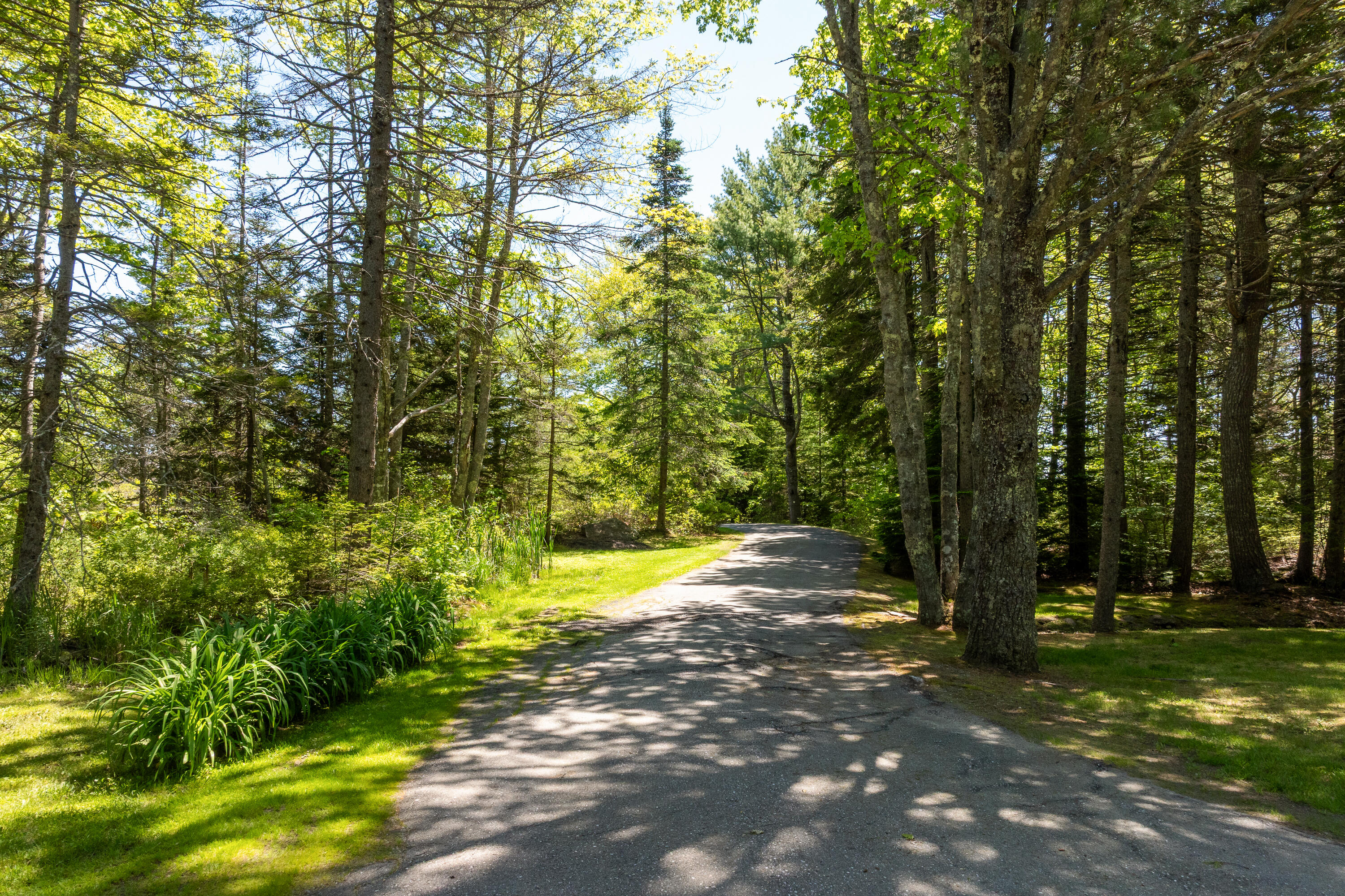 153 Back Shore Road Property Photo 7