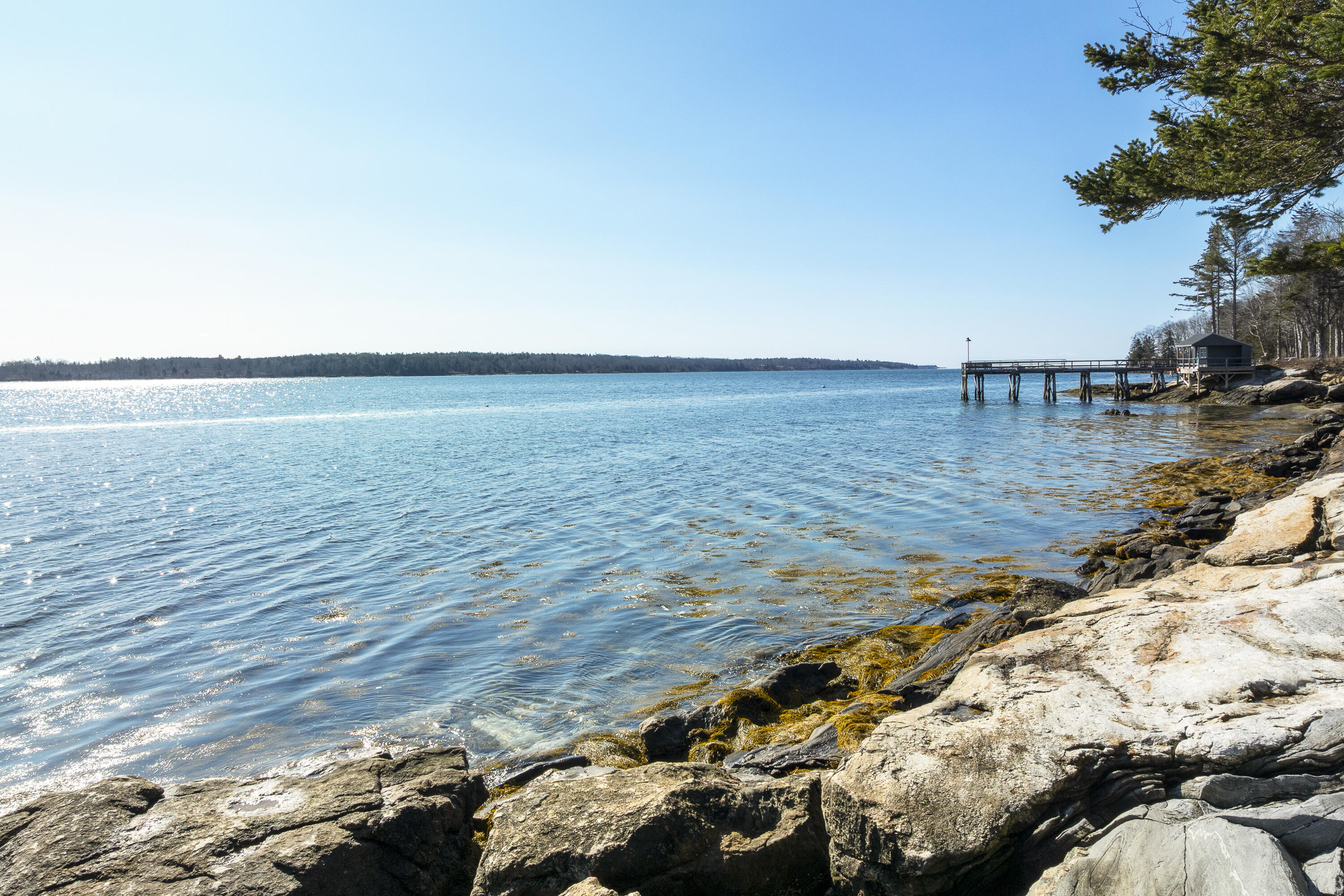 153 Back Shore Road Property Photo 76