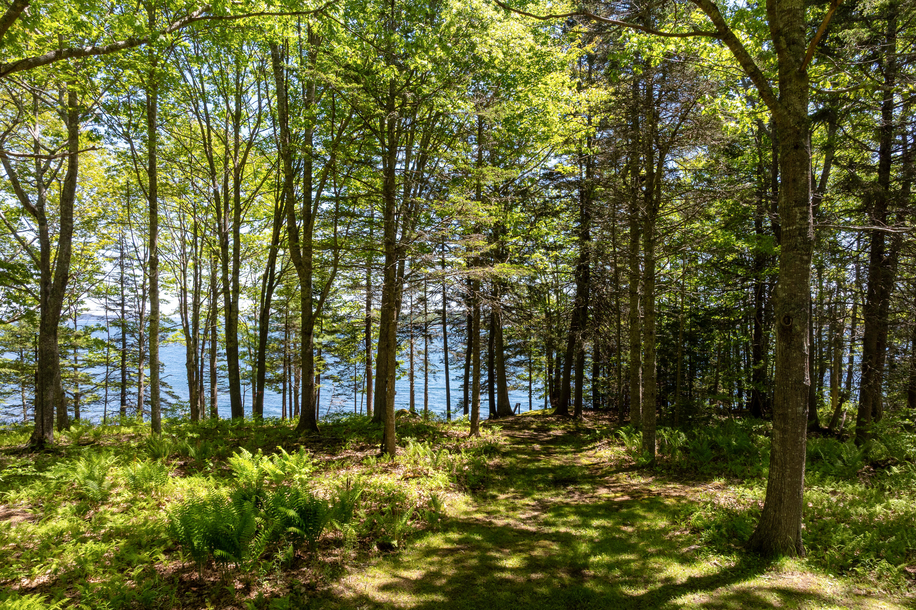 153 Back Shore Road Property Photo 86