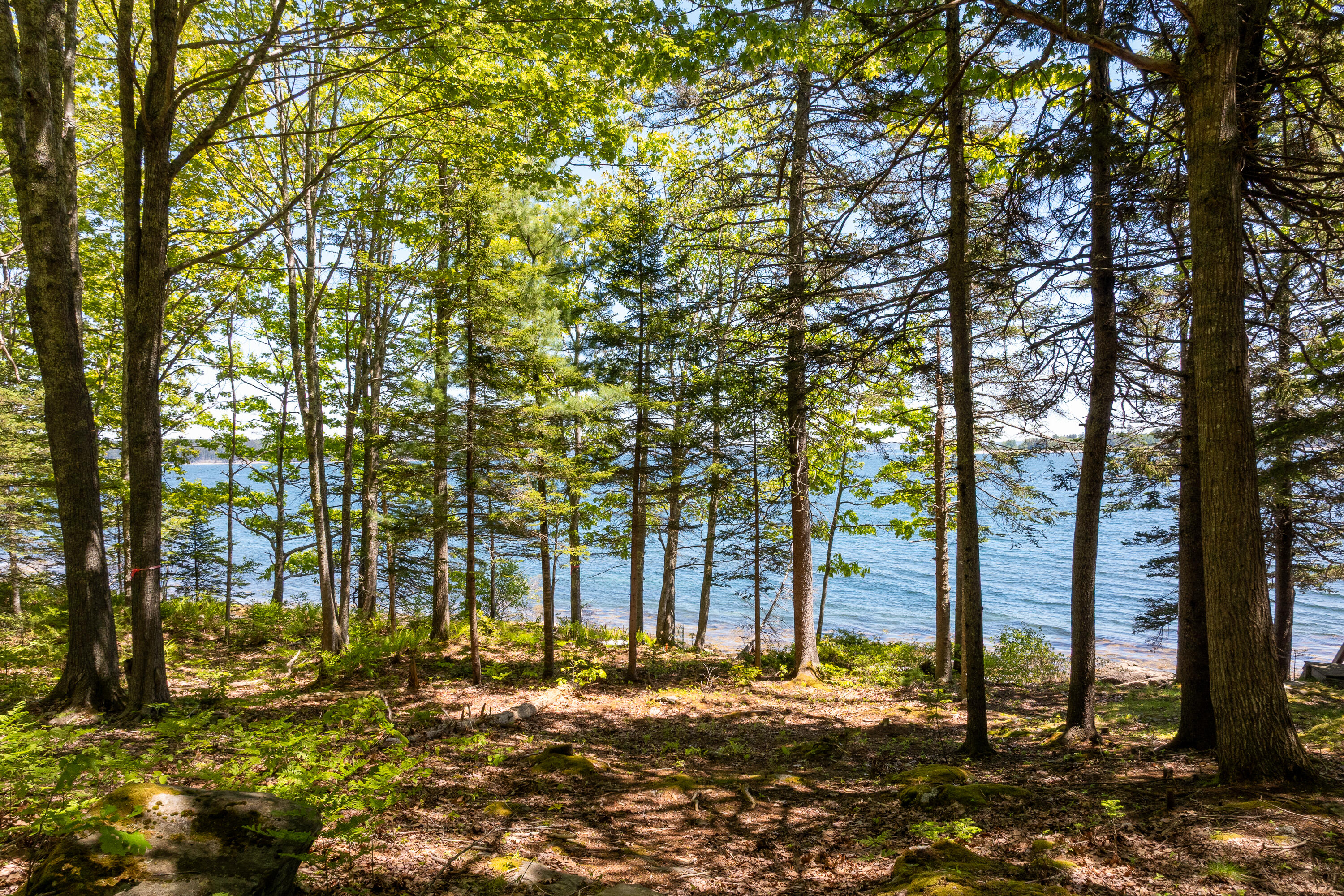 153 Back Shore Road Property Photo 87