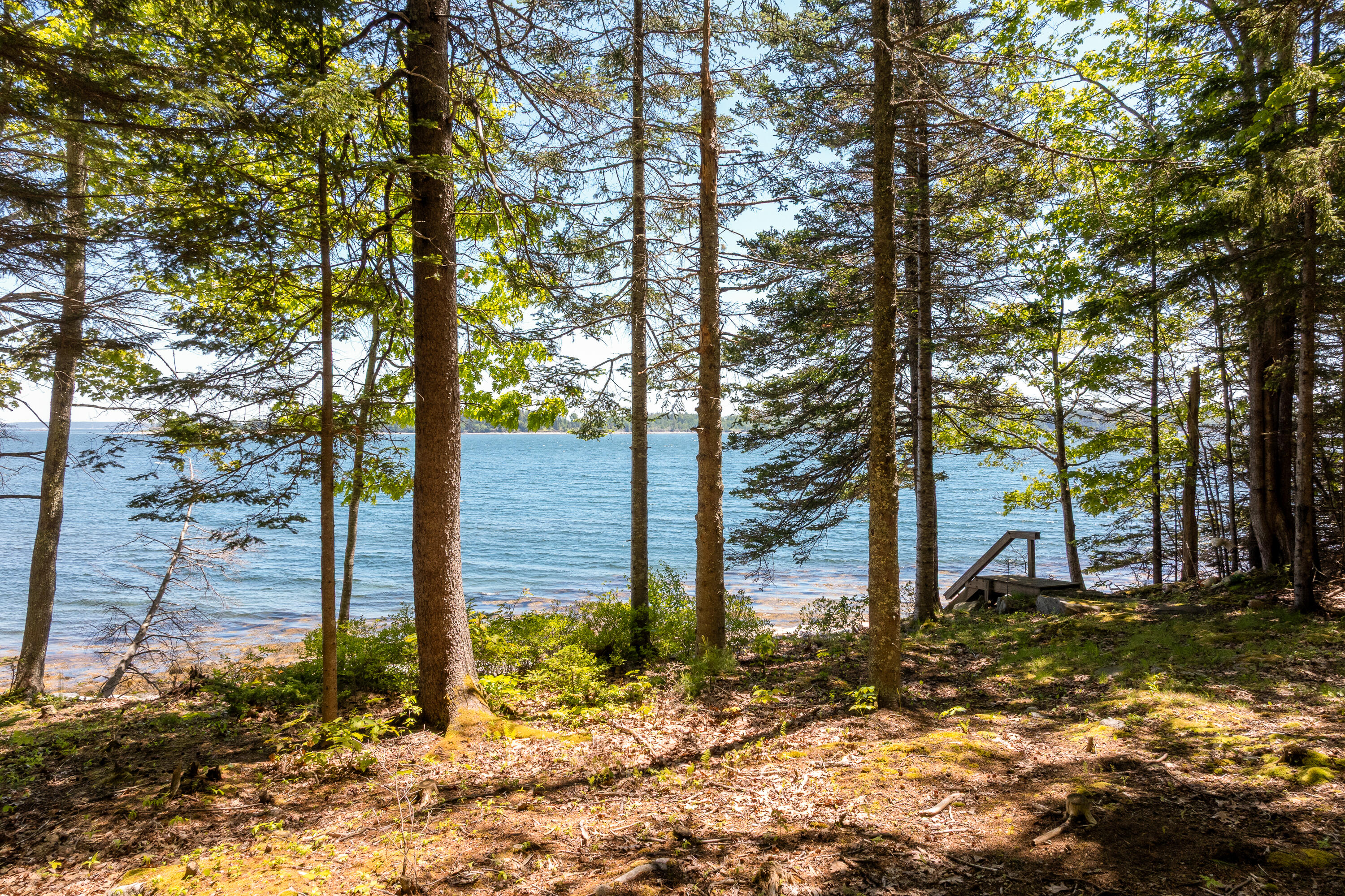 153 Back Shore Road Property Photo 88