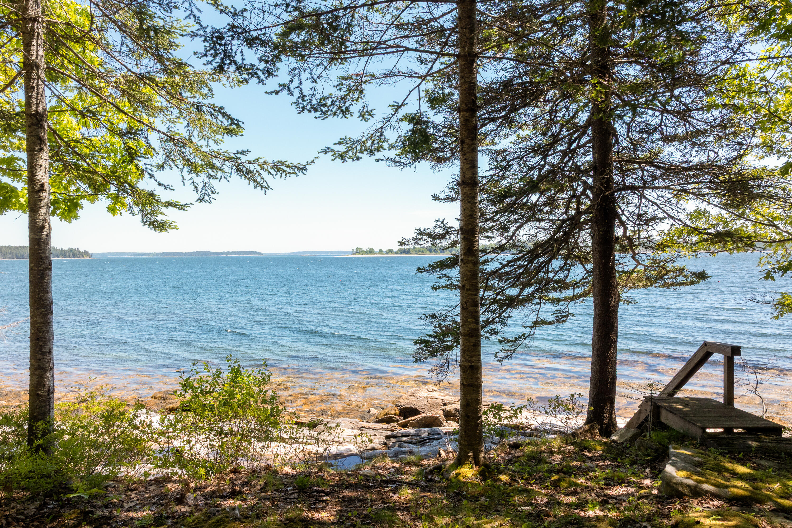 153 Back Shore Road Property Photo 89