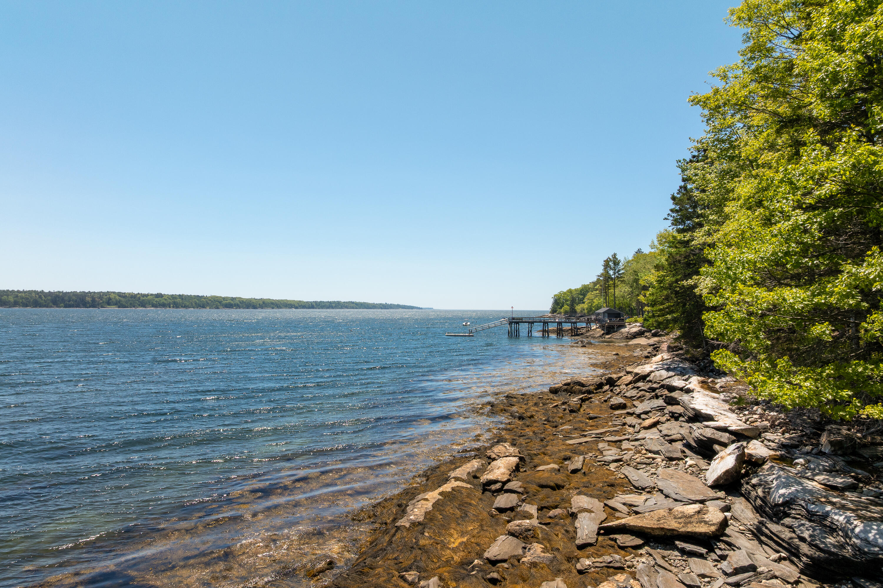 153 Back Shore Road Property Photo 96