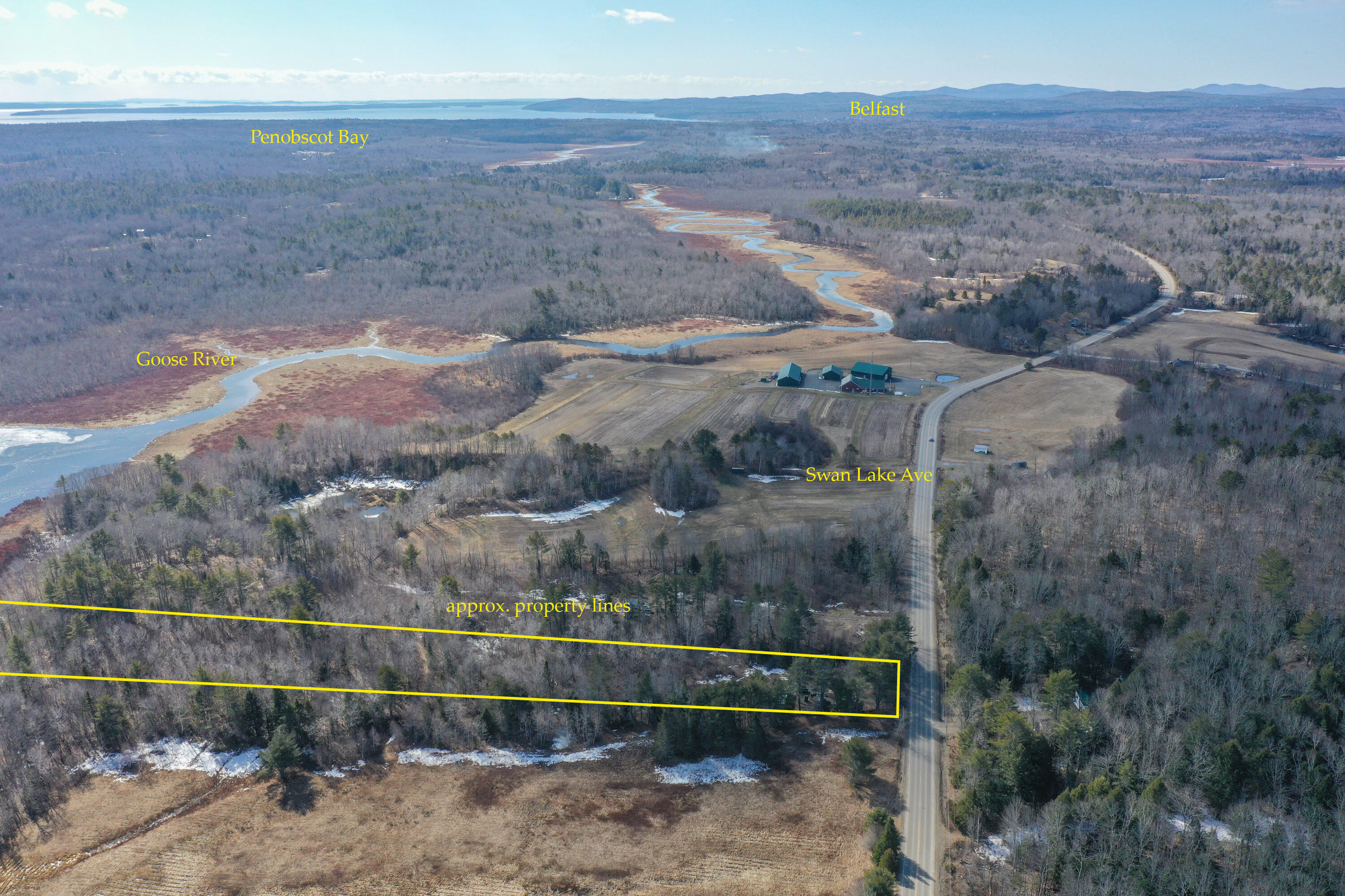 741 Swan Lake Avenue Property Photo 14