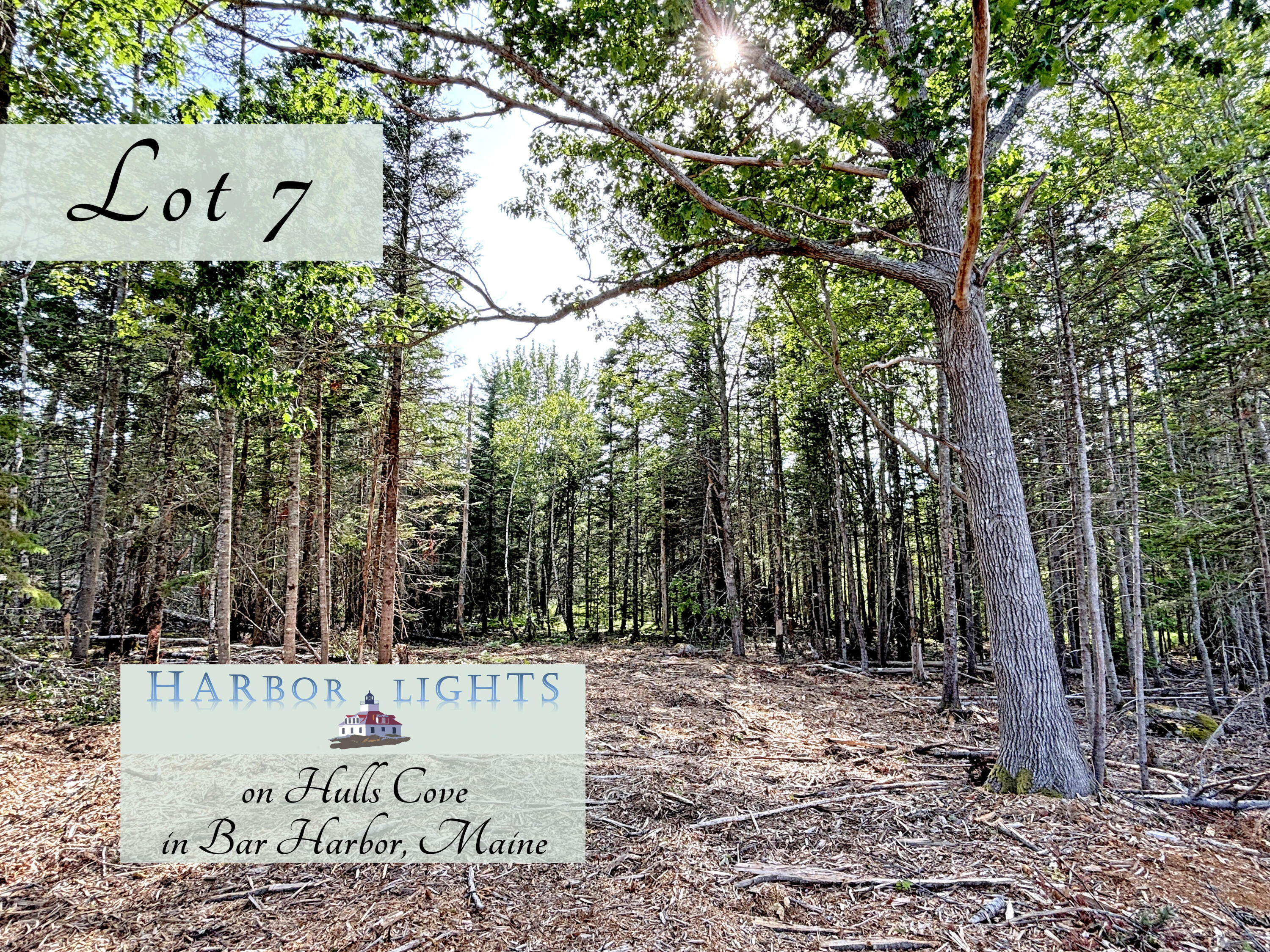 7 Harbor Lights Road Property Photo 1