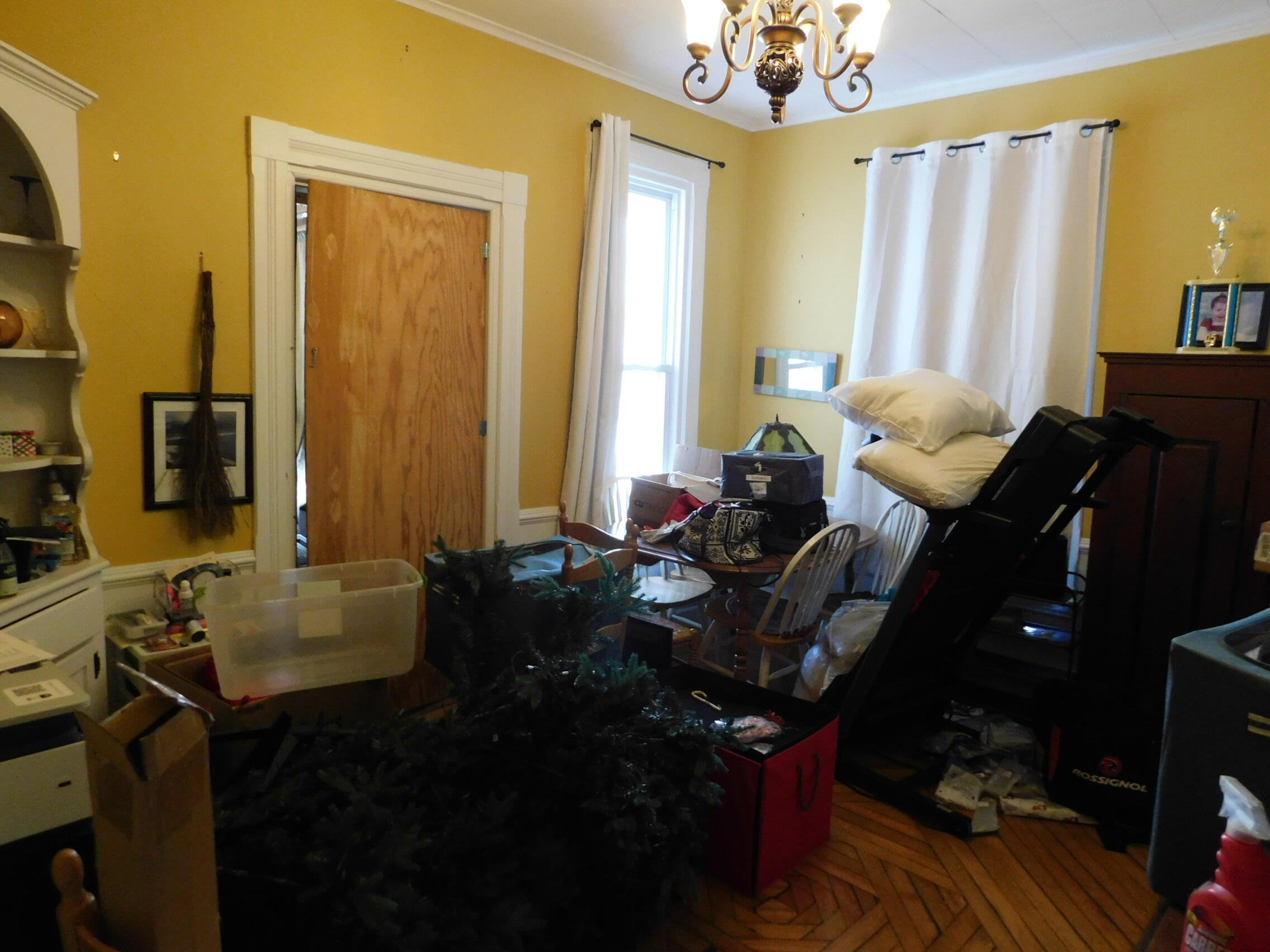 37 Elm Street Property Photo 24