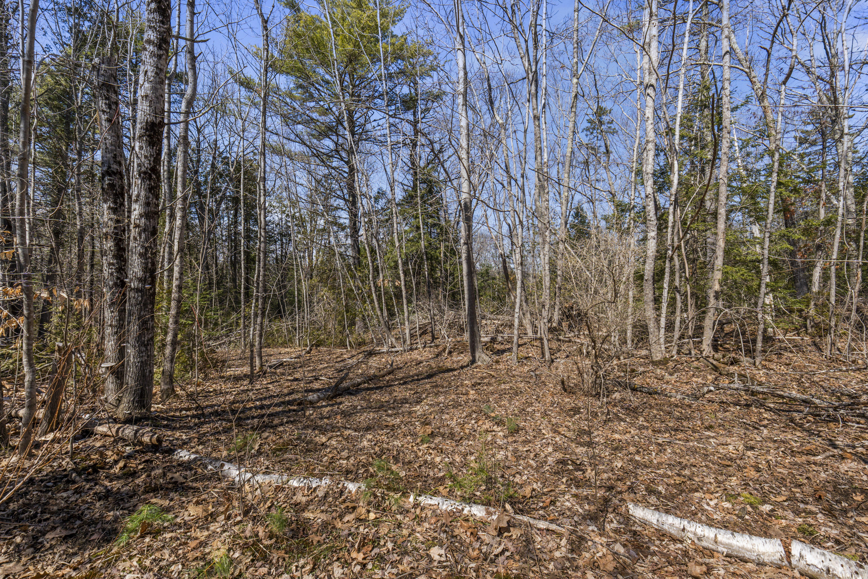 569 Middle Road Property Photo 53