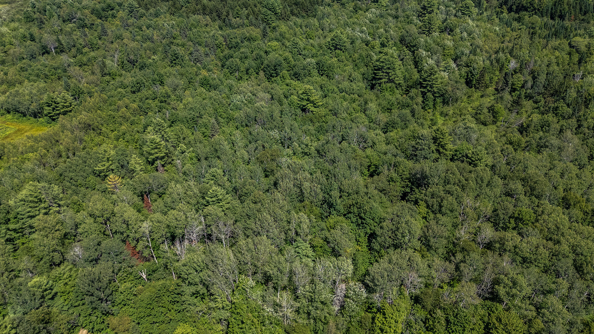 5267 Bennoch Road Property Photo 63