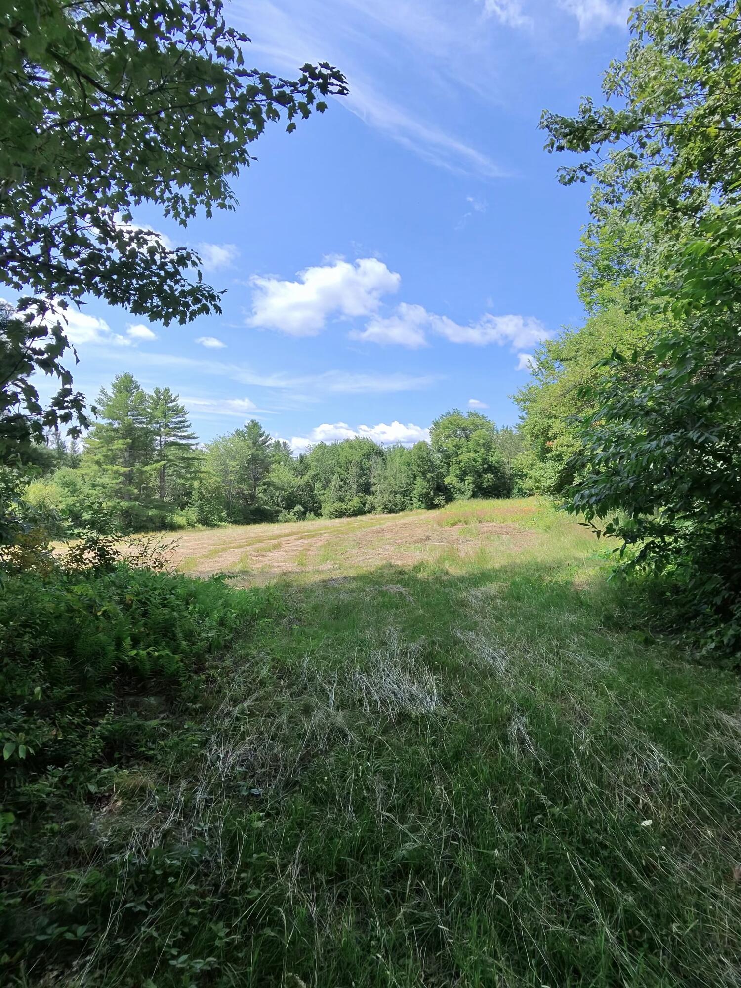 53 Kulas Road Property Photo 60