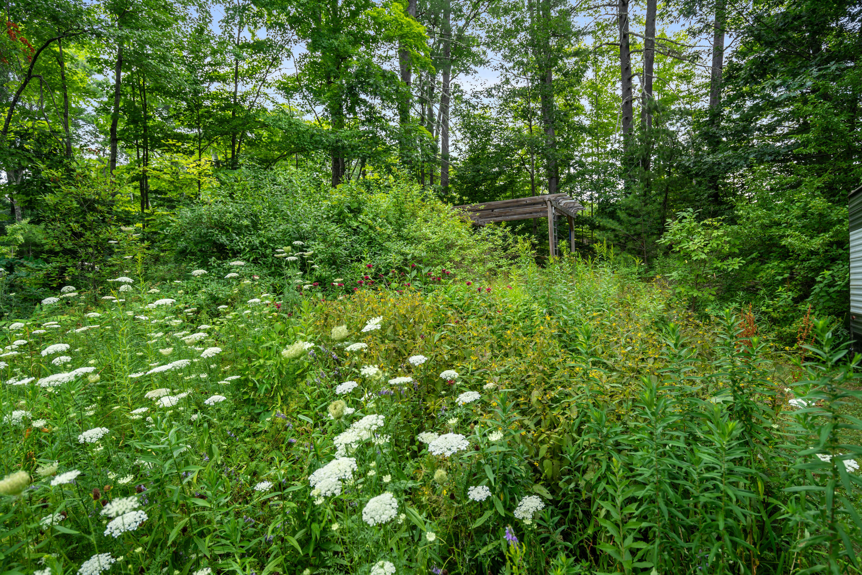 11 Harrison Road Property Photo 6