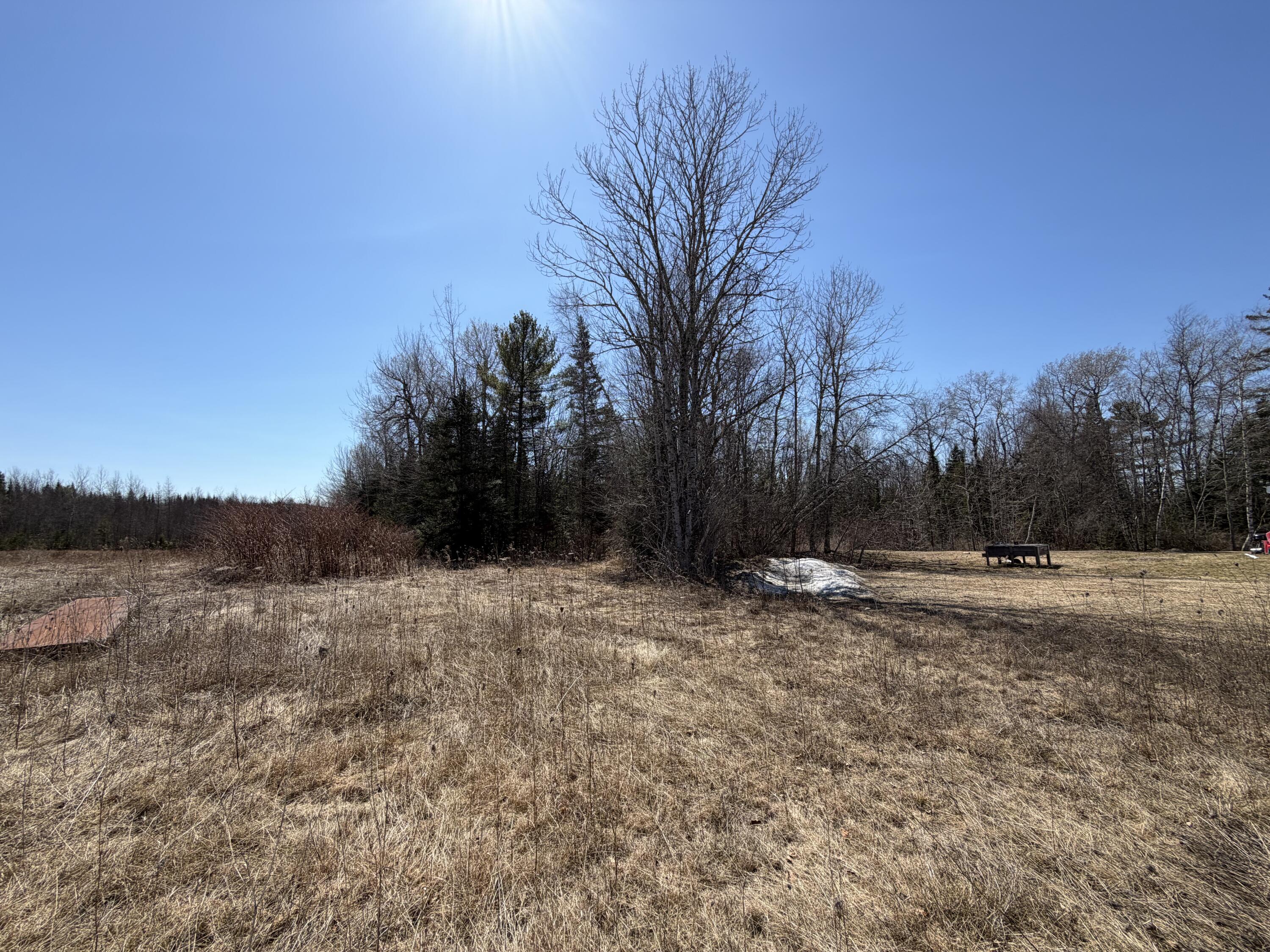 442 W Broadway Property Photo 15