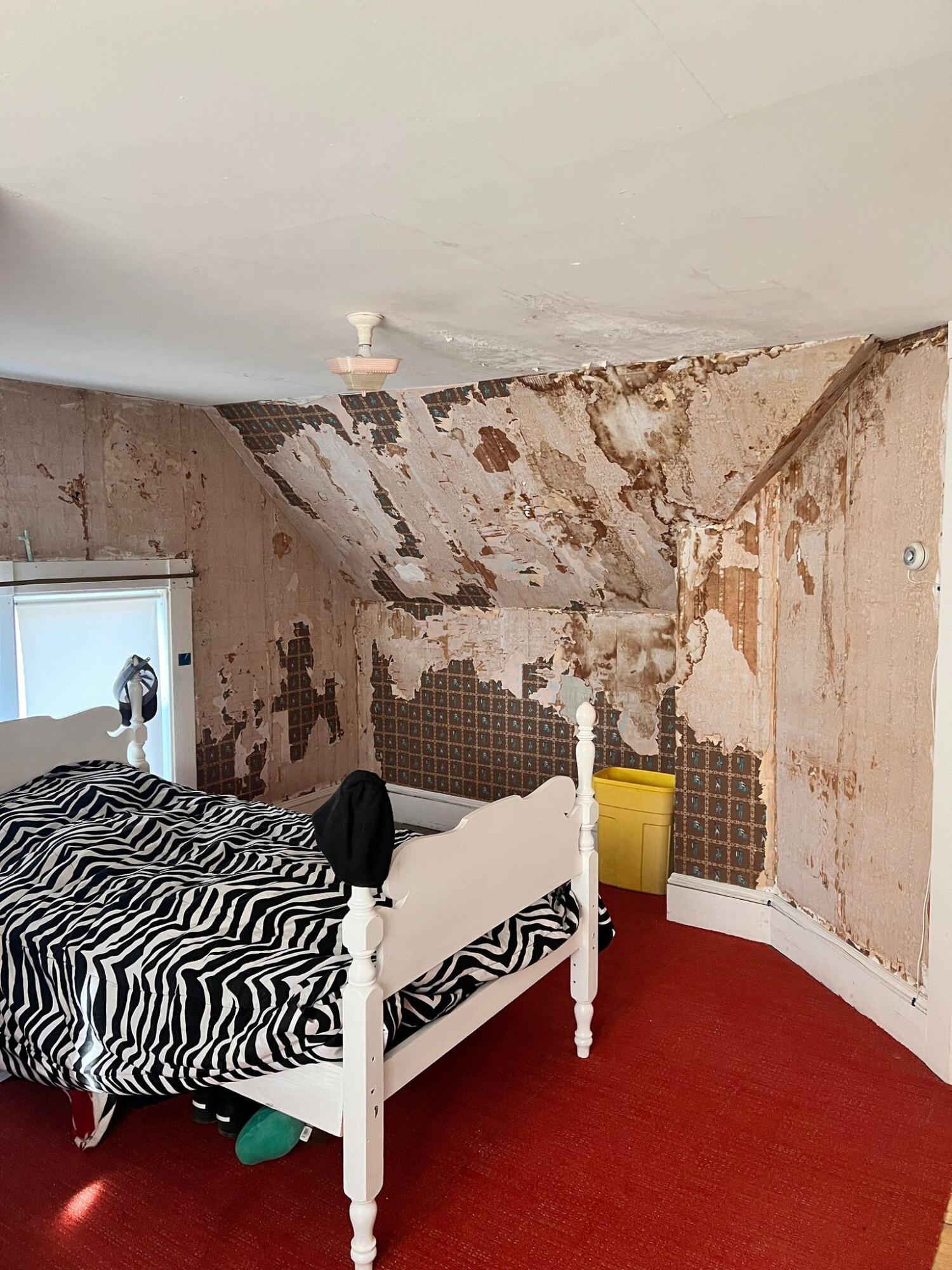 312 Pine Street Property Photo 51