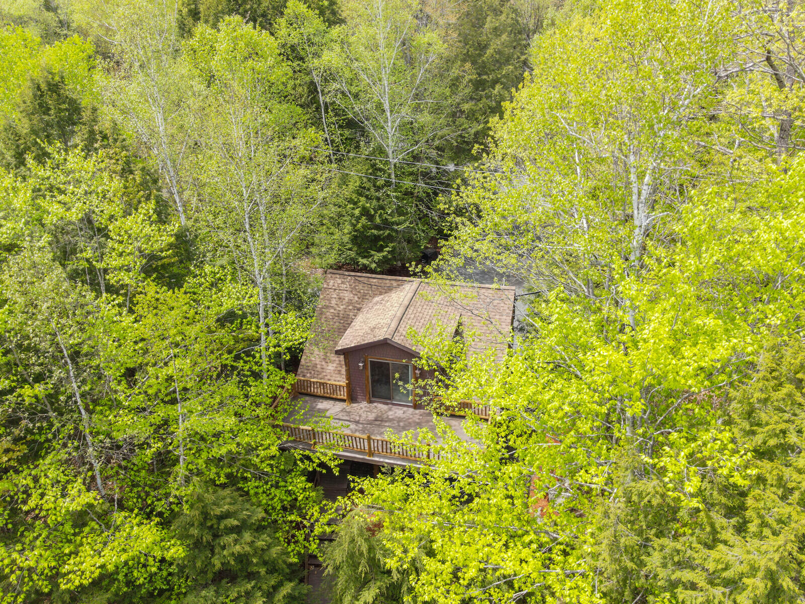 208 Main Road Property Photo 65