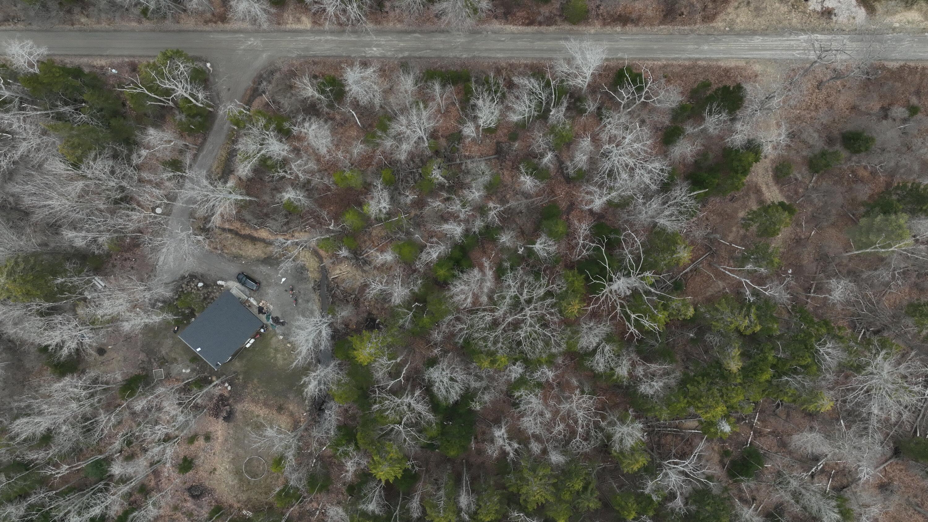 Lot 14 Austin Point Road Property Photo 1
