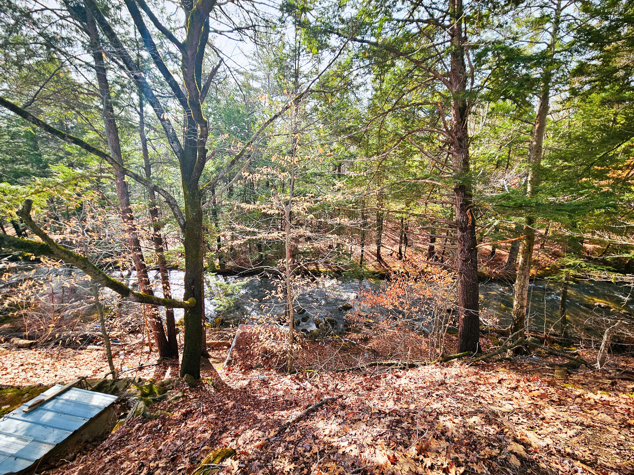 922 Weld Road Property Photo 17