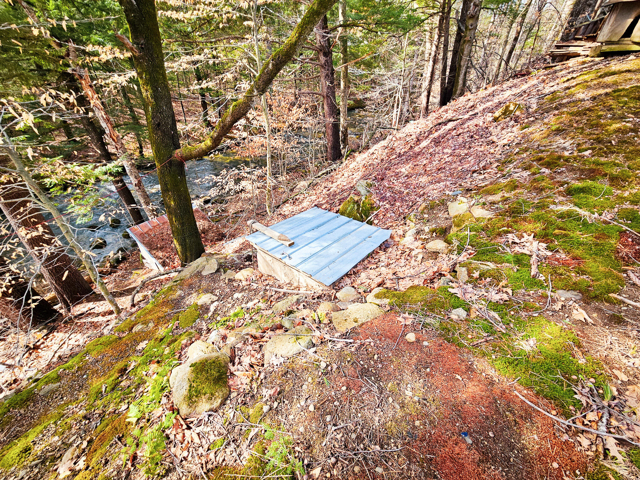 922 Weld Road Property Photo 18
