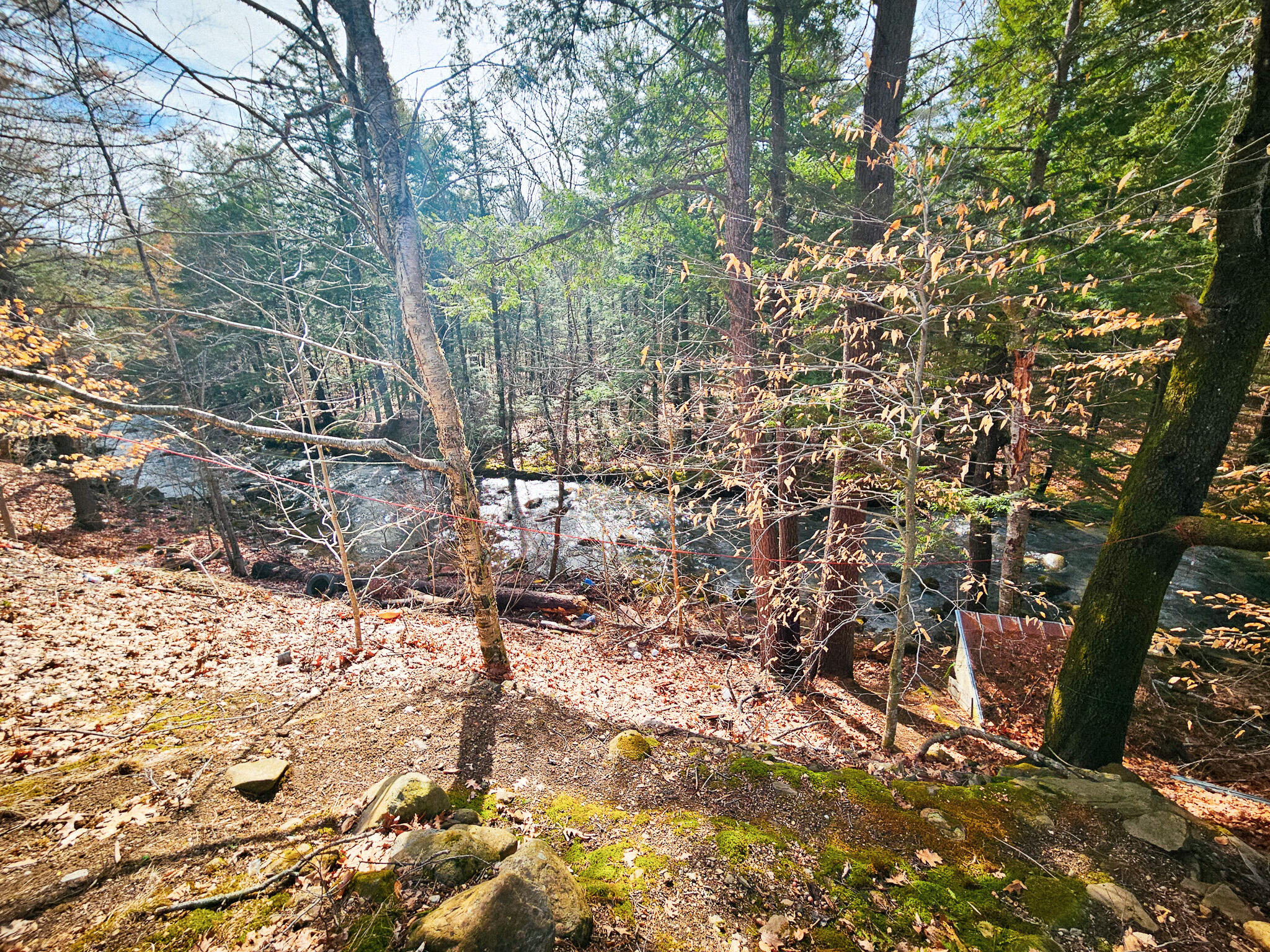 922 Weld Road Property Photo 19