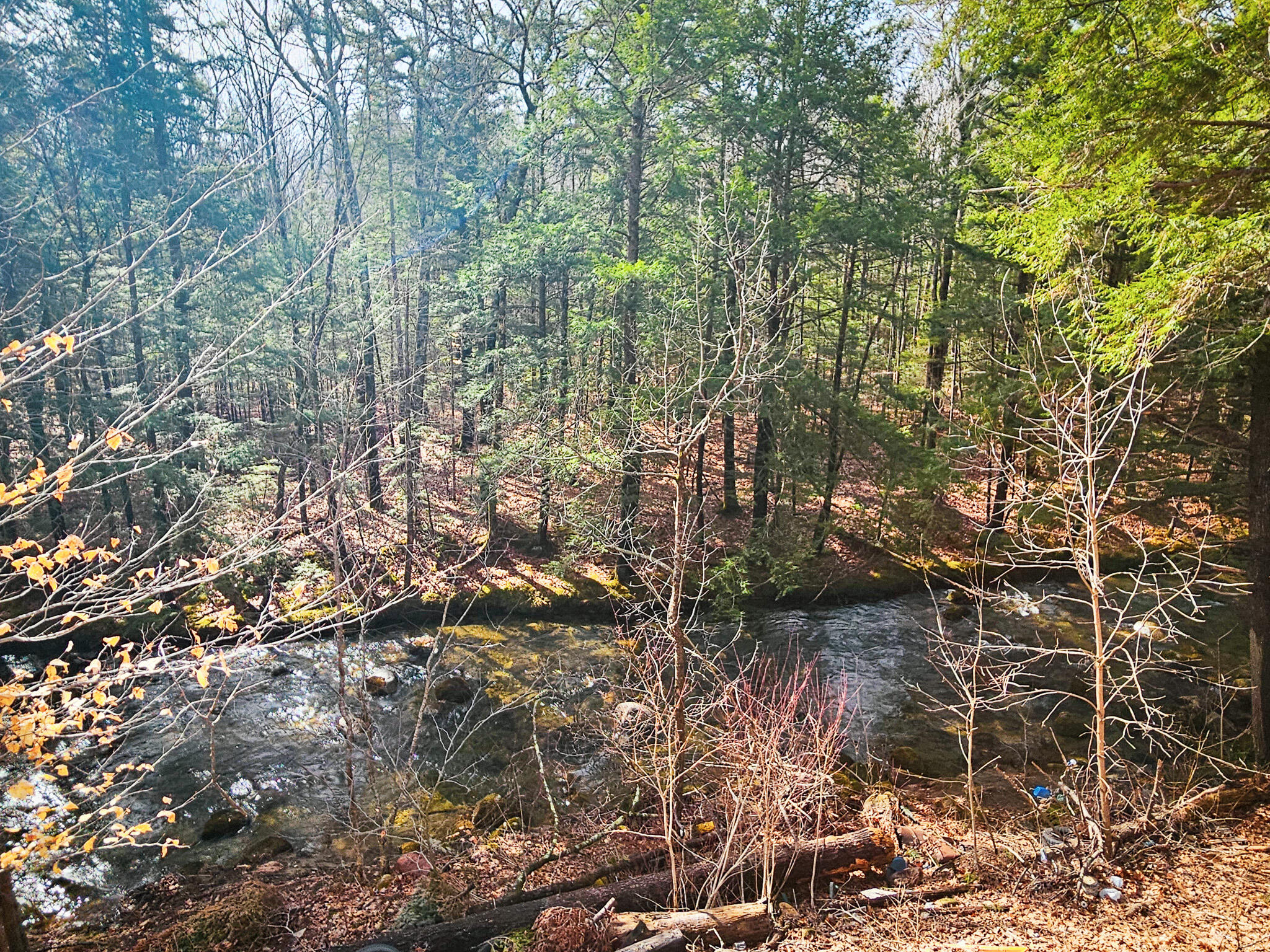 922 Weld Road Property Photo 21