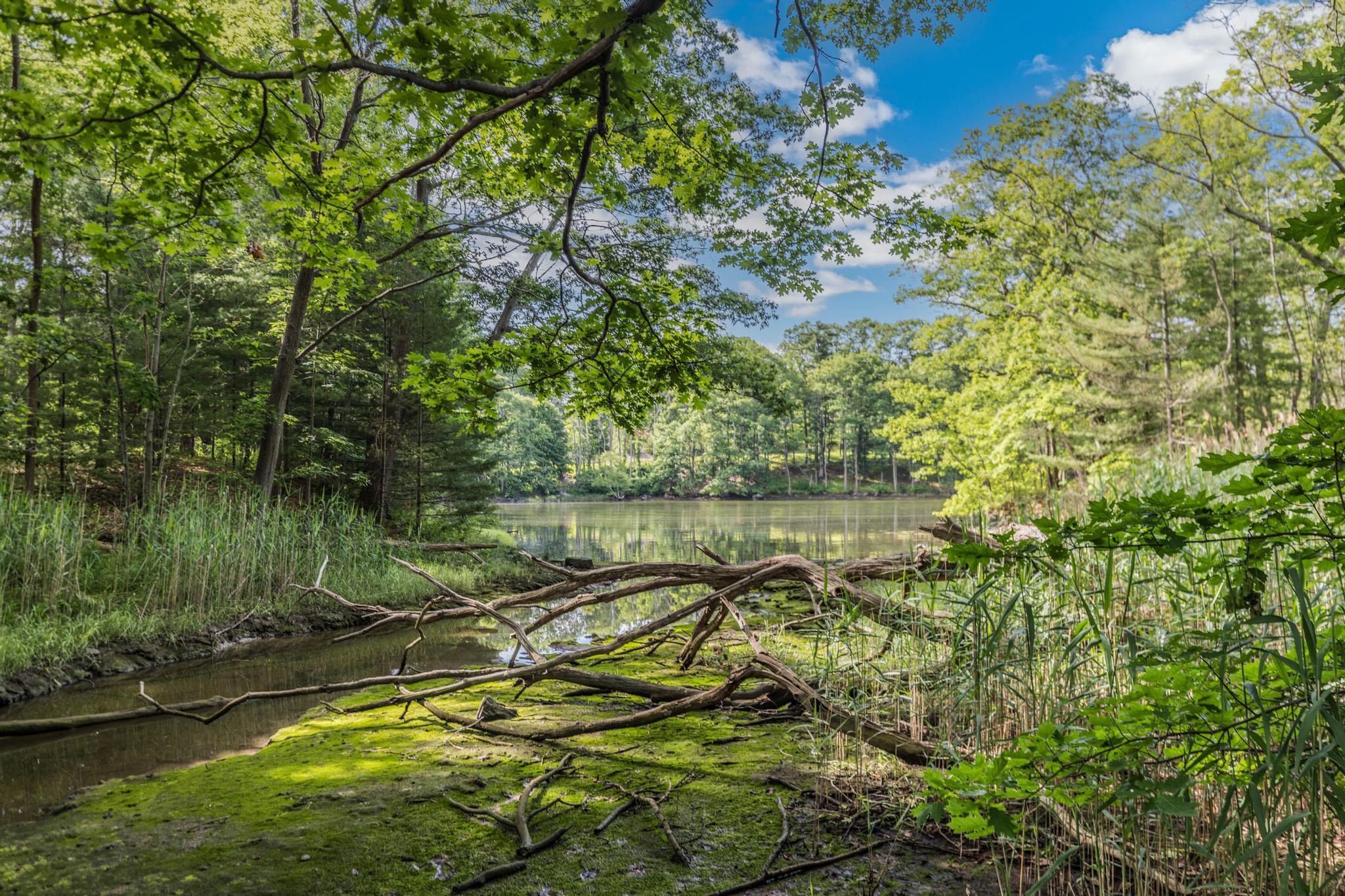 7 Cove Landing Property Photo 11