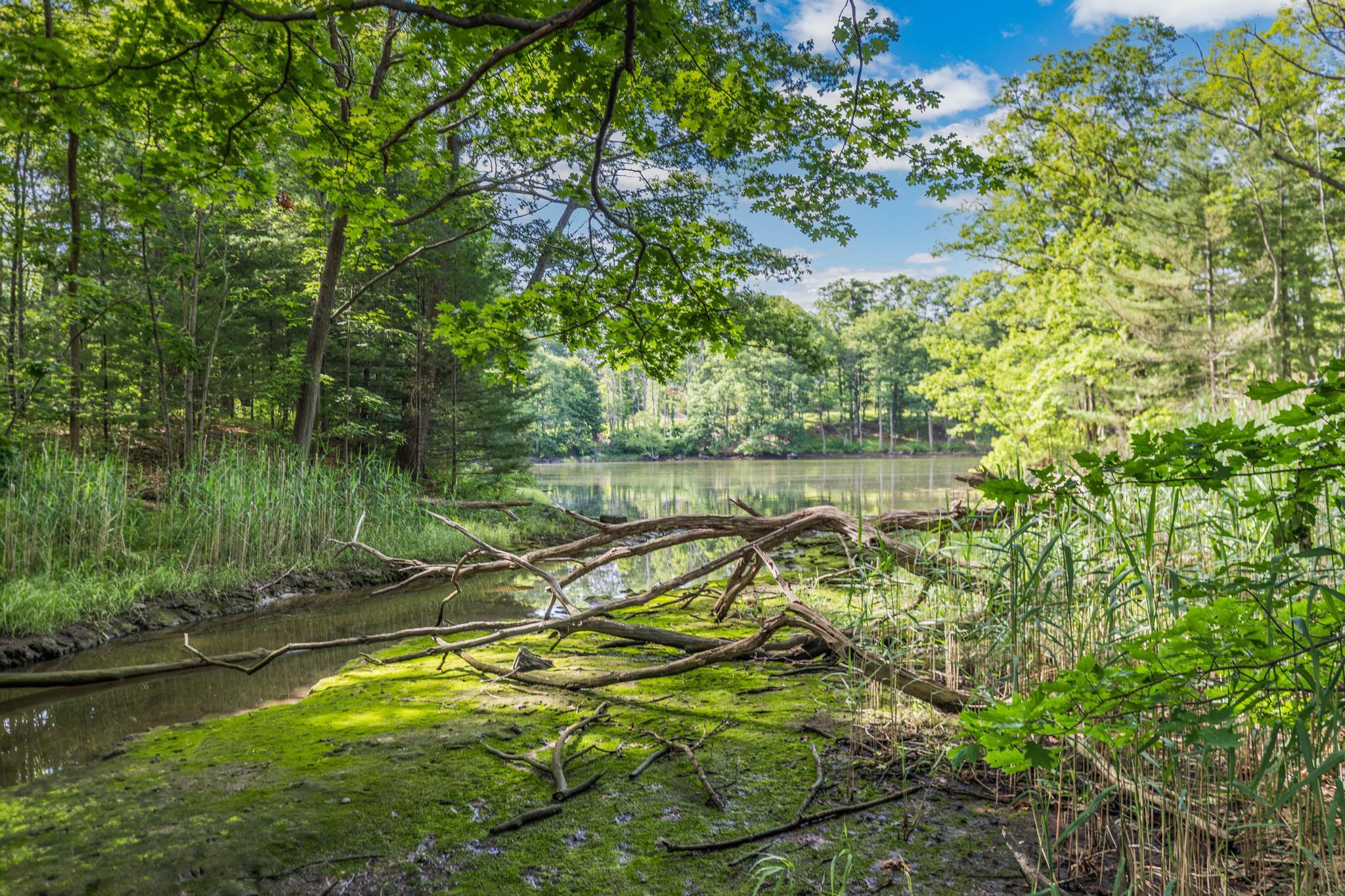 7 Cove Landing Property Photo 12