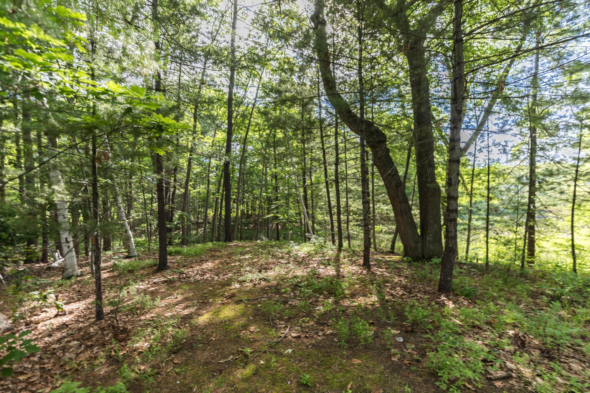 7 Cove Landing Property Photo 13