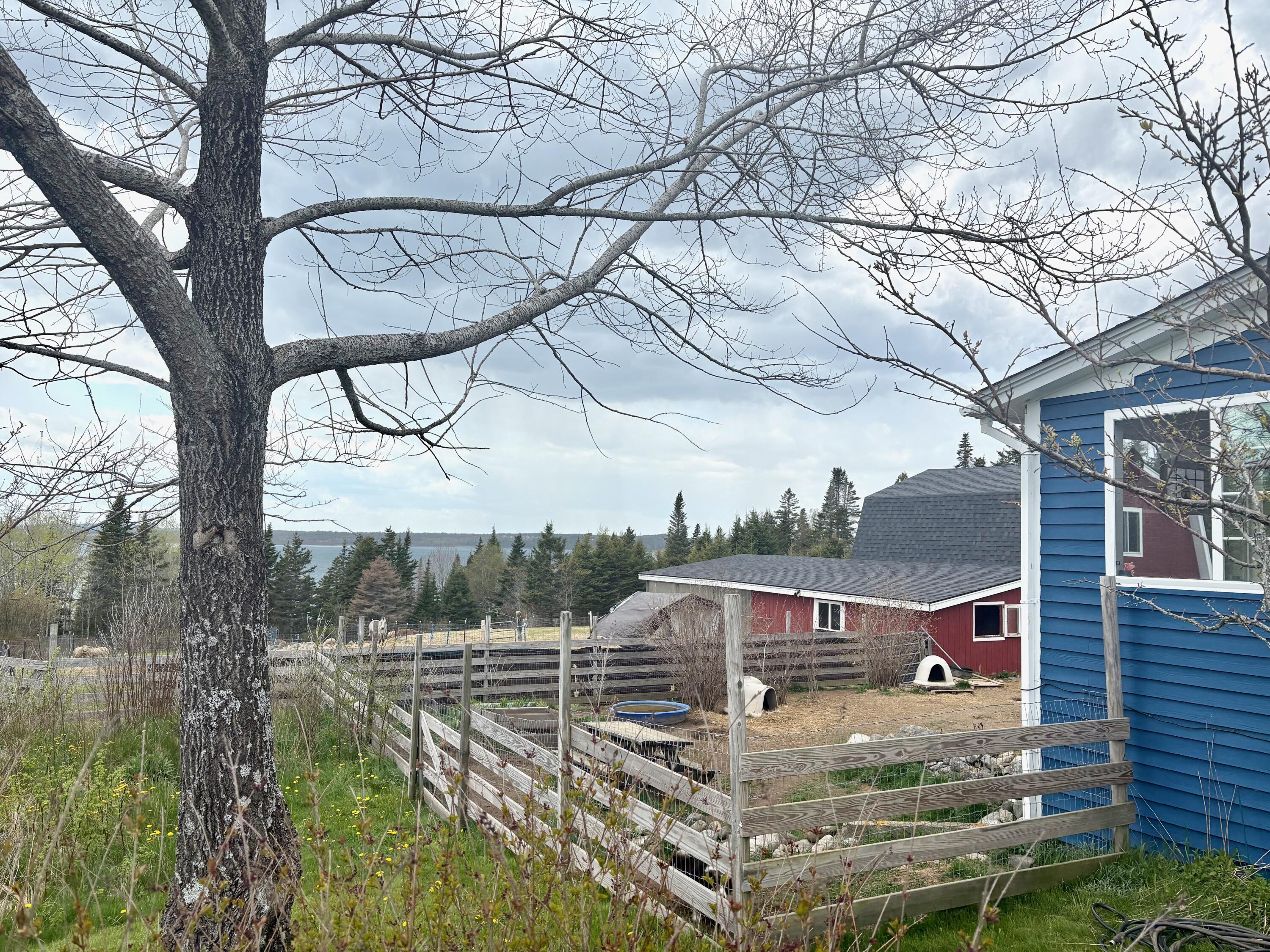 99 Little Machias Road Property Photo 11