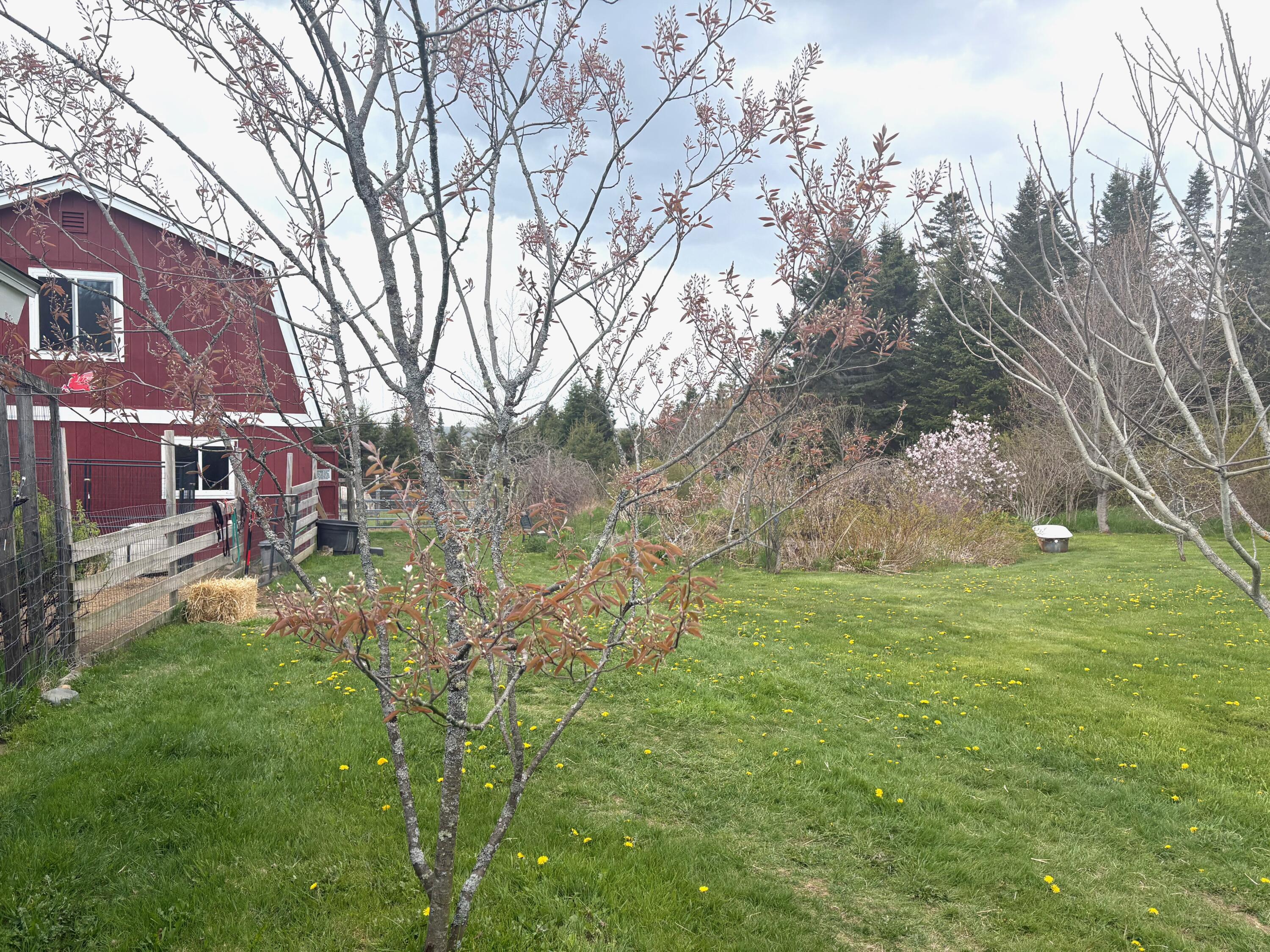 99 Little Machias Road Property Photo 13