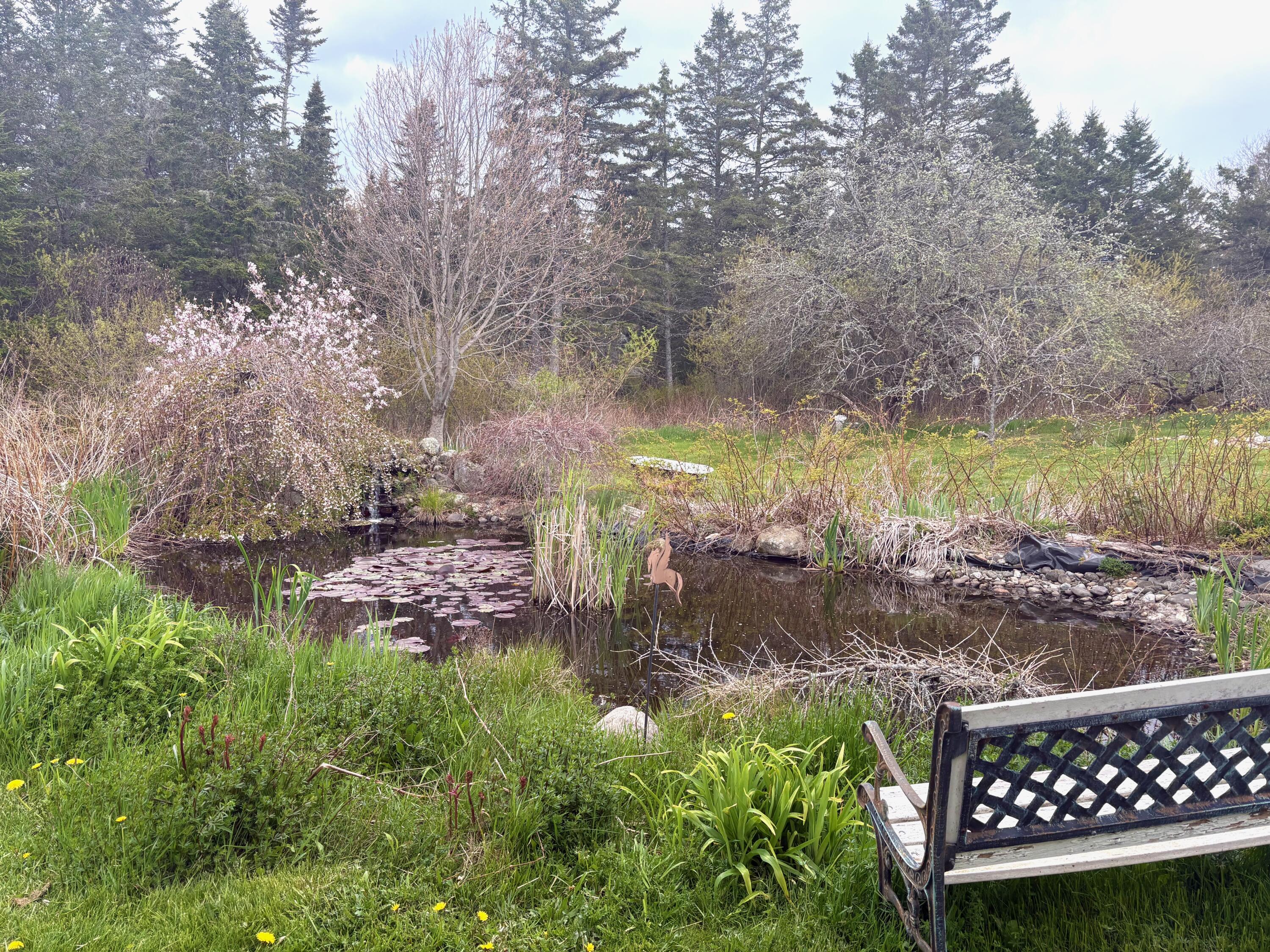 99 Little Machias Road Property Photo 14