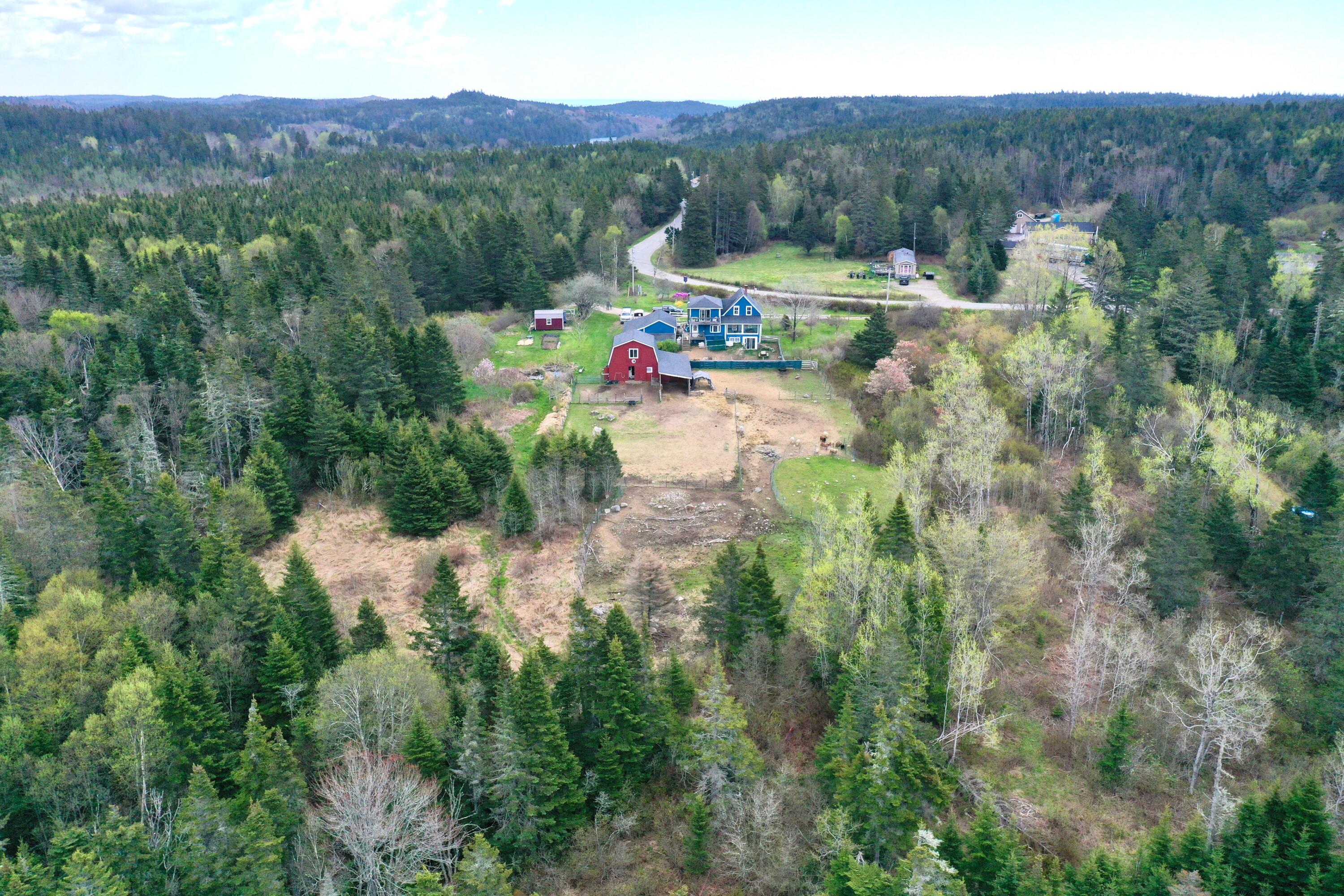 99 Little Machias Road Property Photo 15