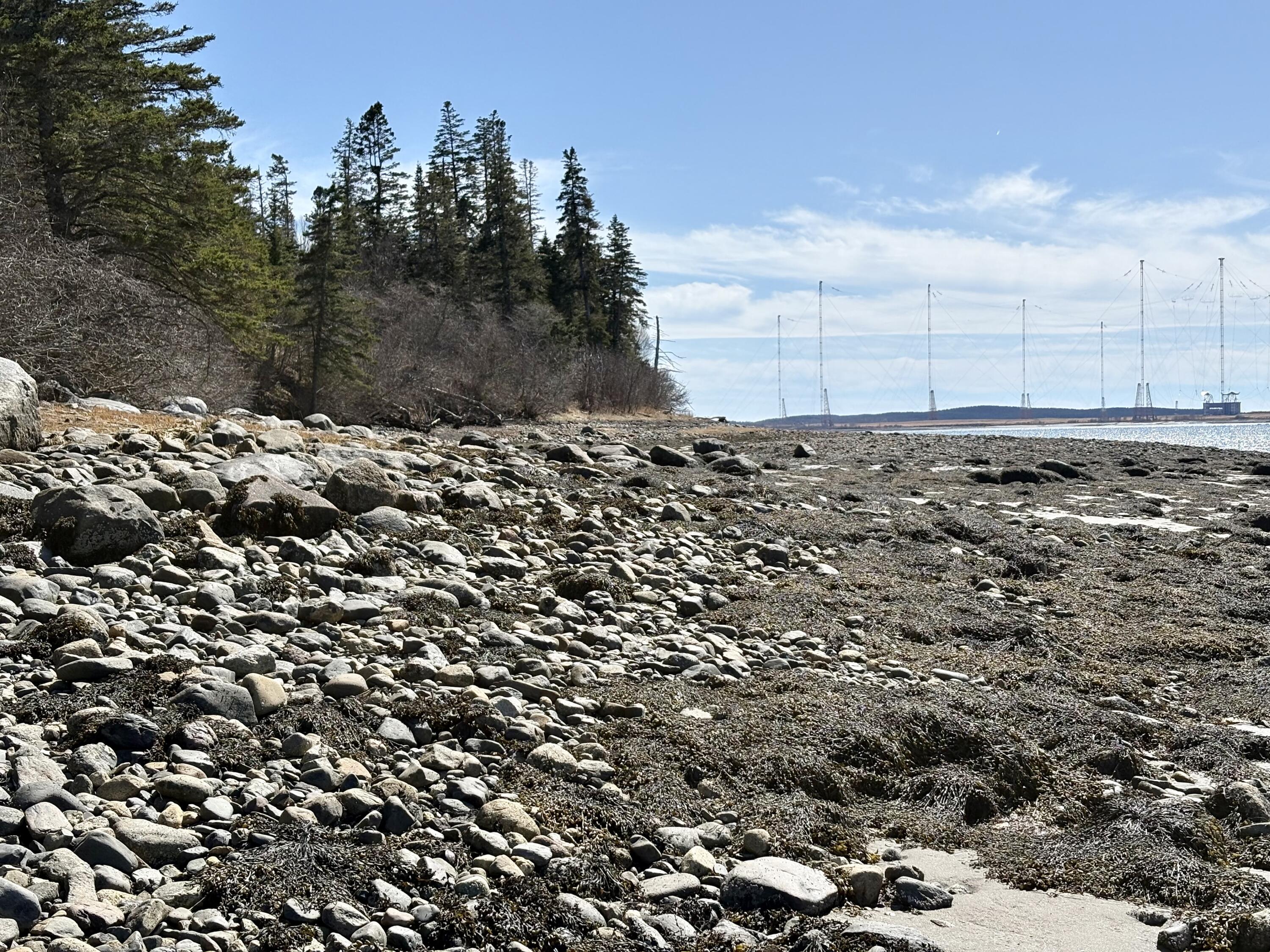 99 Little Machias Road Property Photo 16