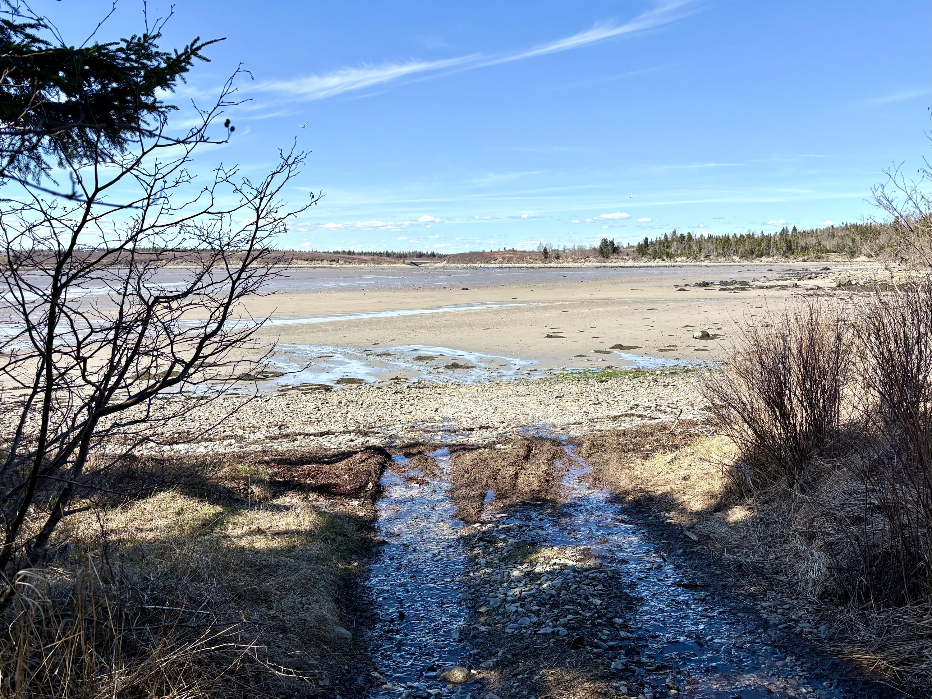 99 Little Machias Road Property Photo 18