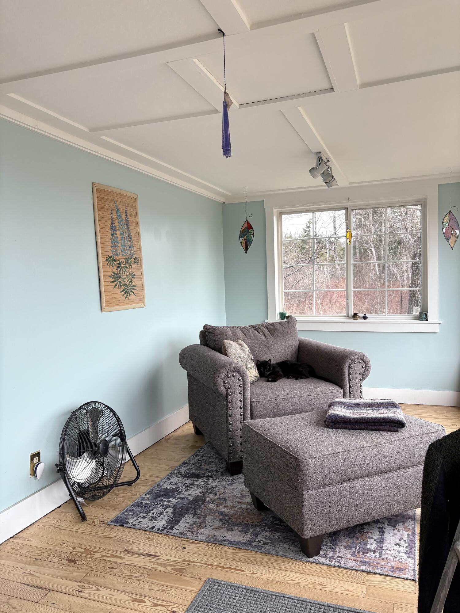 99 Little Machias Road Property Photo 28
