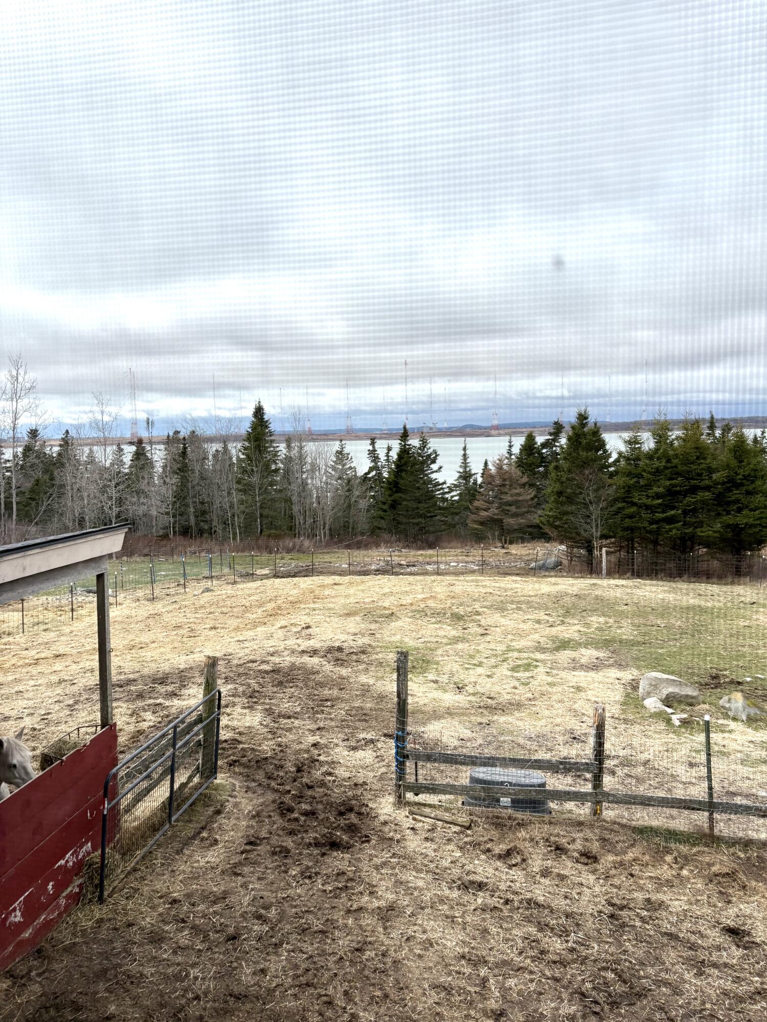 99 Little Machias Road Property Photo 68
