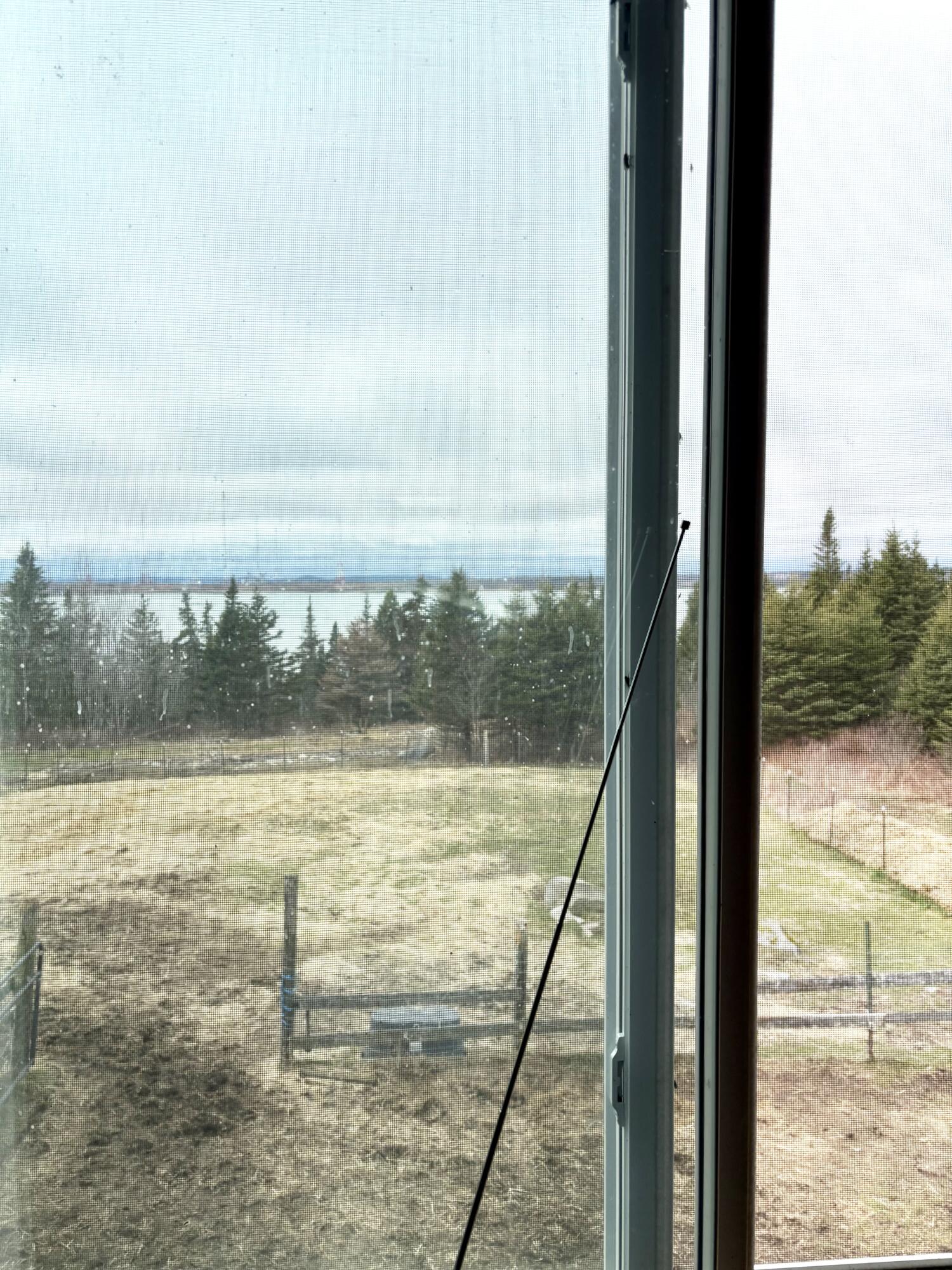 99 Little Machias Road Property Photo 69