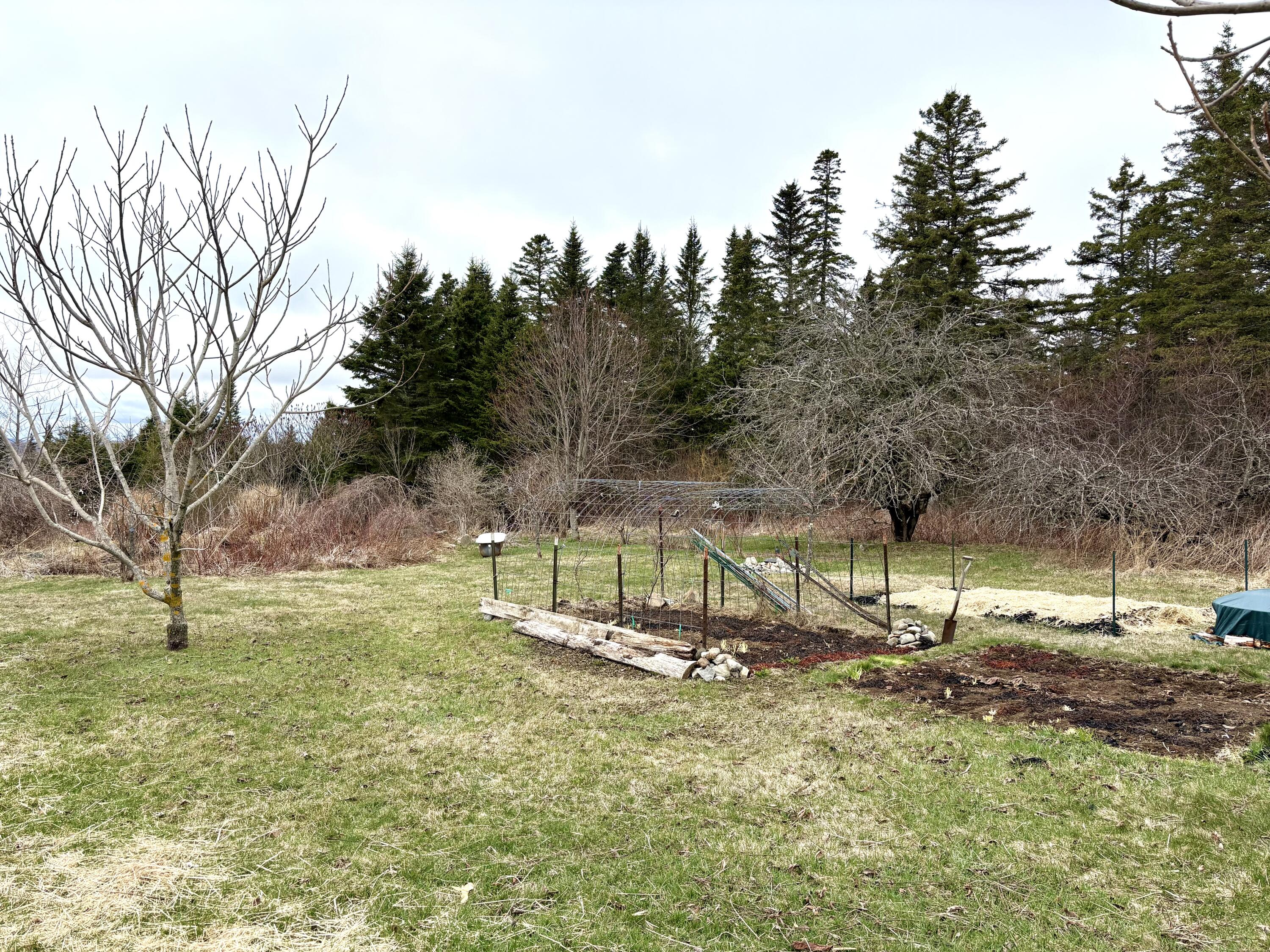 99 Little Machias Road Property Photo 79