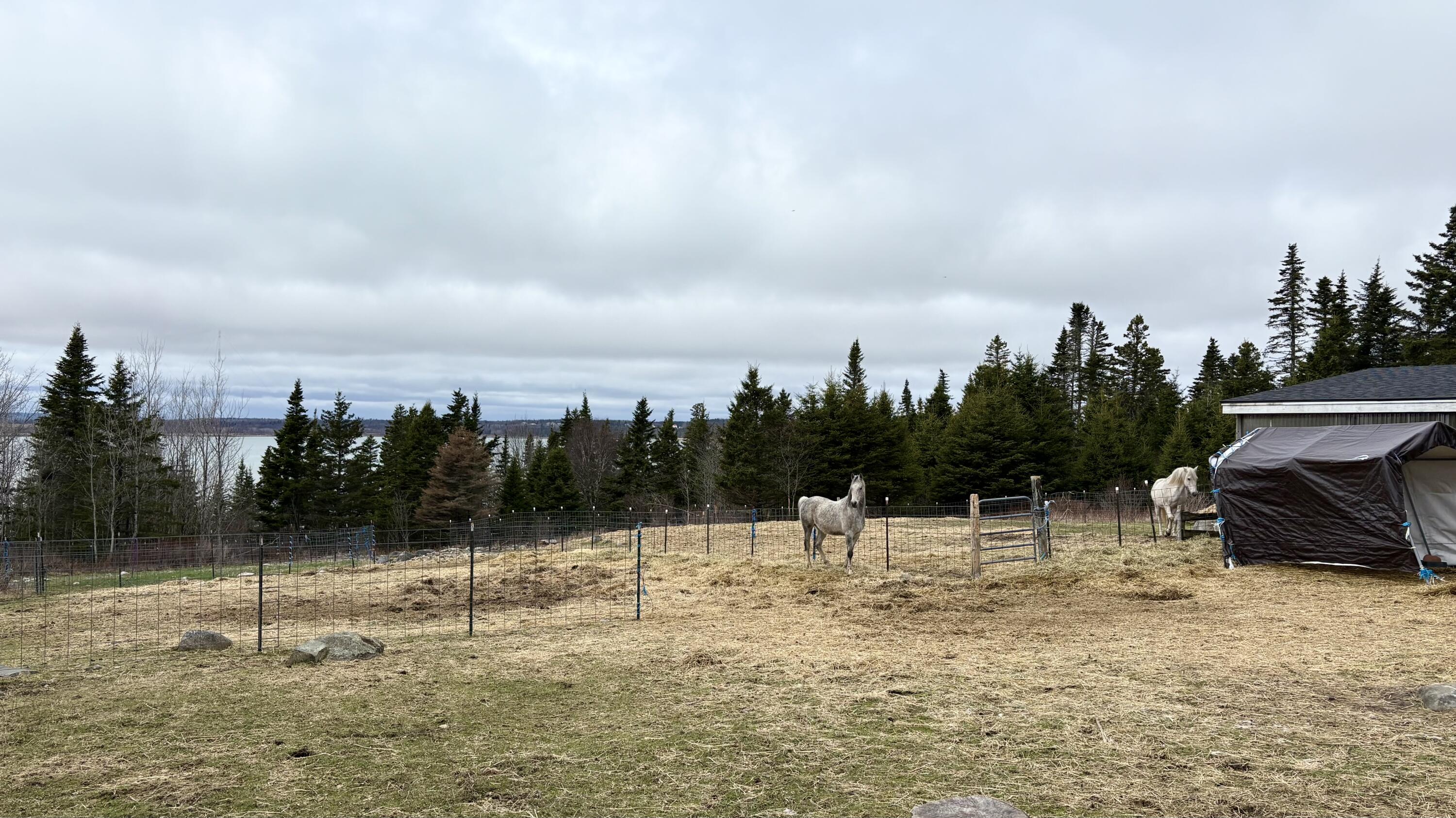 99 Little Machias Road Property Photo 86
