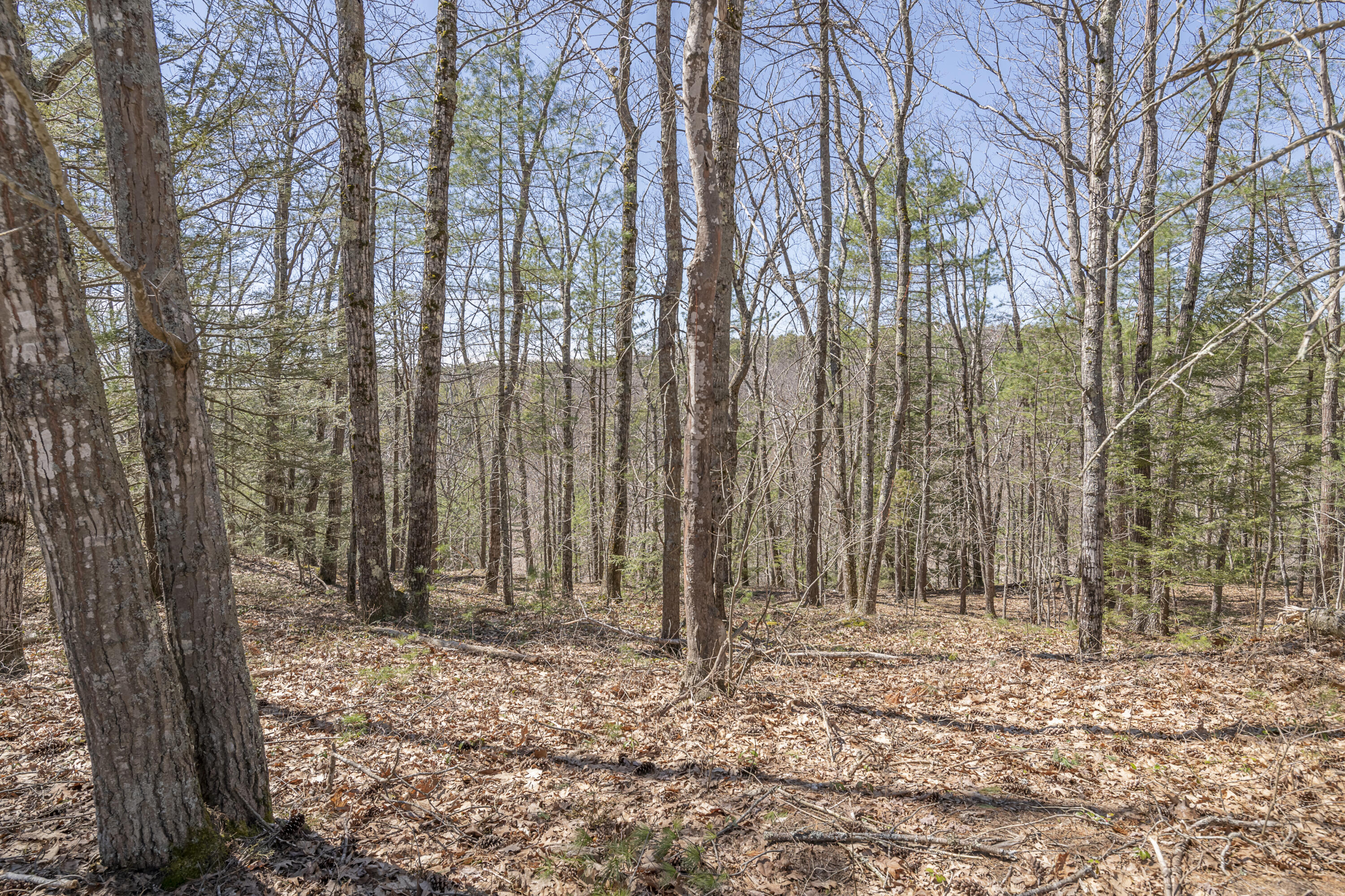 Lot 2 Ridge Road