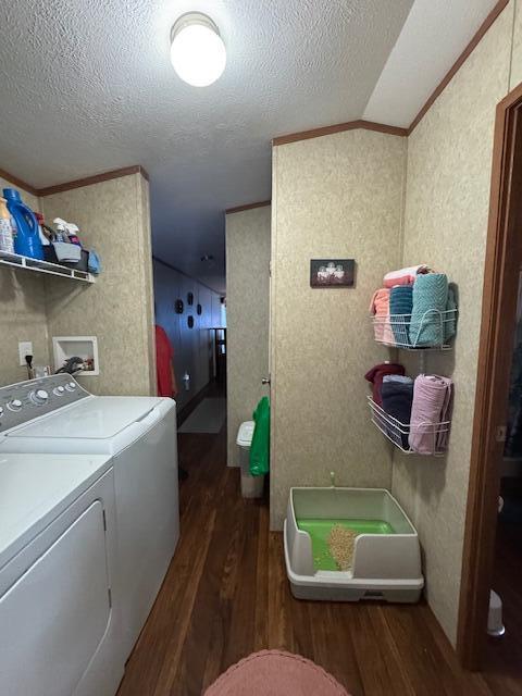 5 Locust Drive Property Photo 13