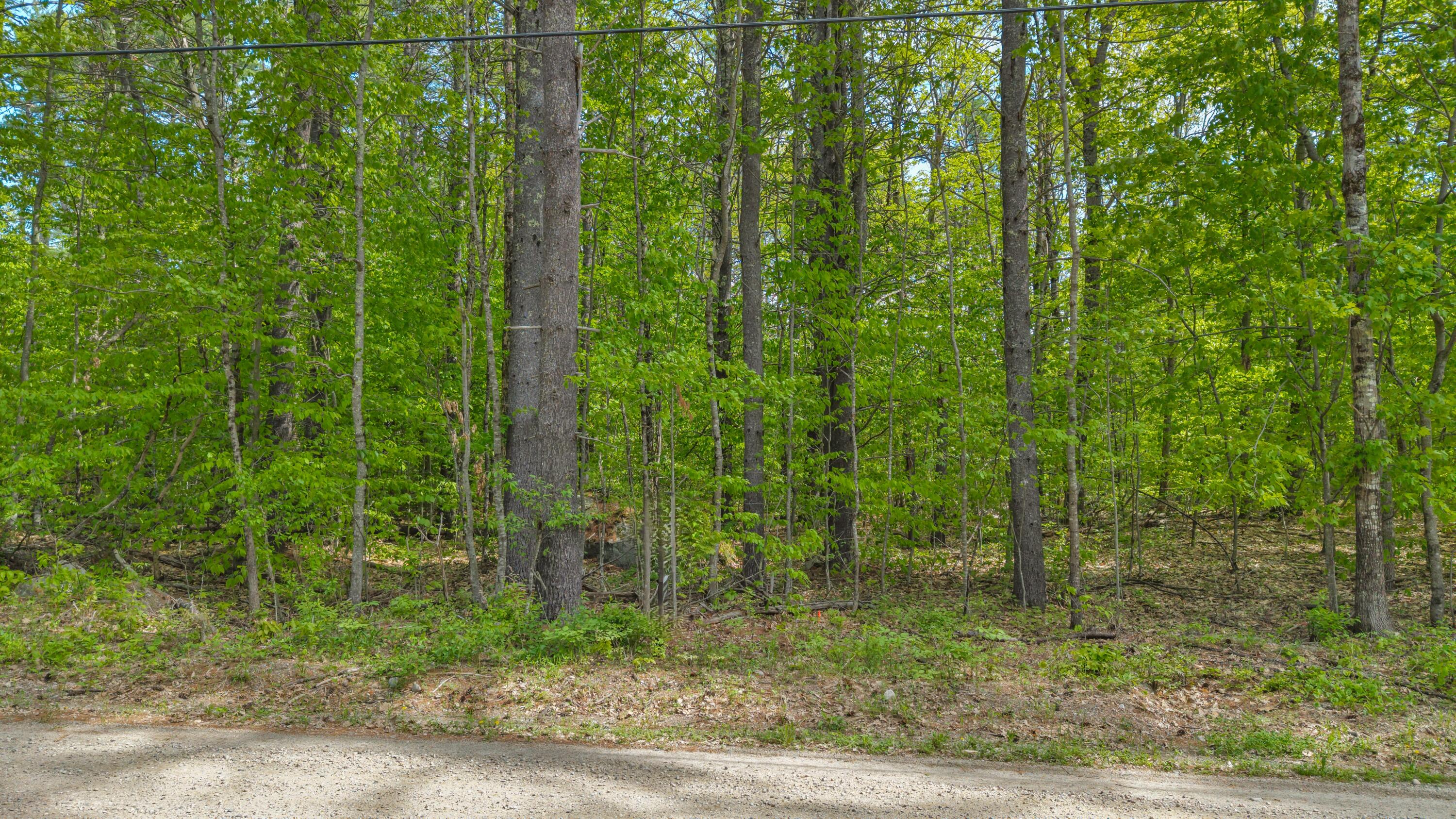 Lot 65 Leisure Lane Property Photo 6