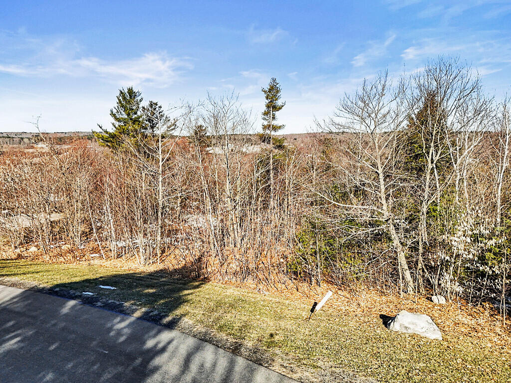 Lot 4 Overlook Drive Property Photo 13